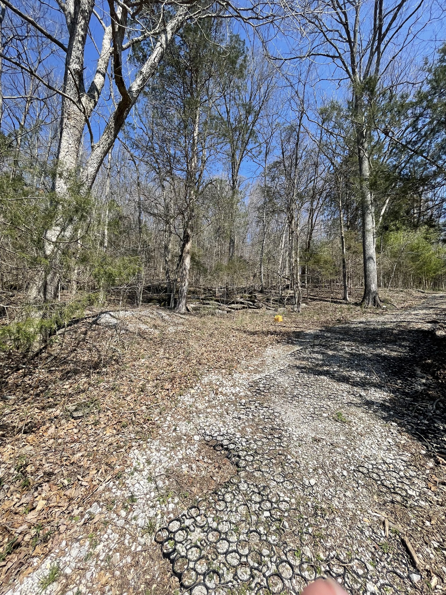 0 Toll Dugger Rd Property Photo 54