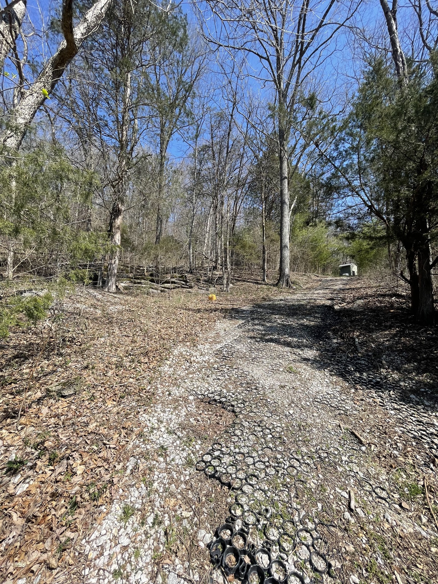 0 Toll Dugger Rd Property Photo 55