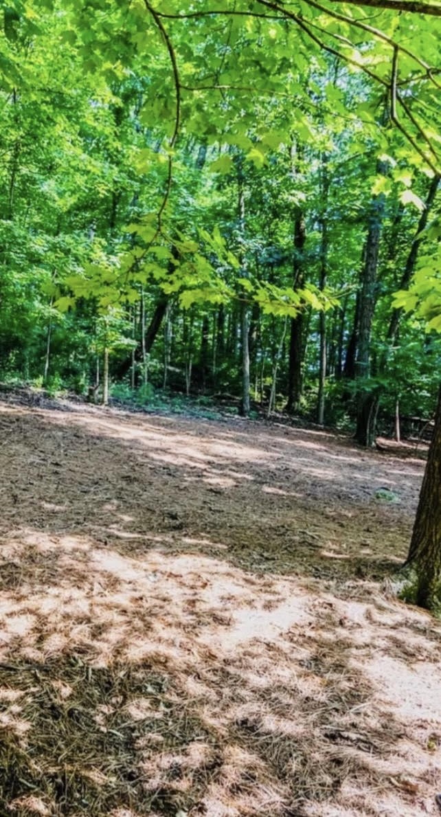 5468 Granny White Pike Property Photo 32