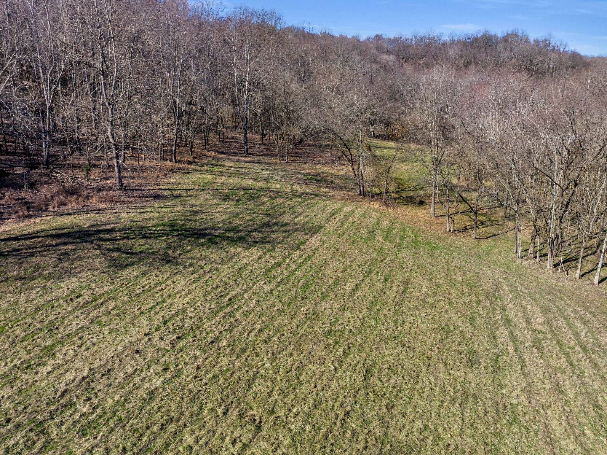 3153 Blazer Rd, W Property Photo 3