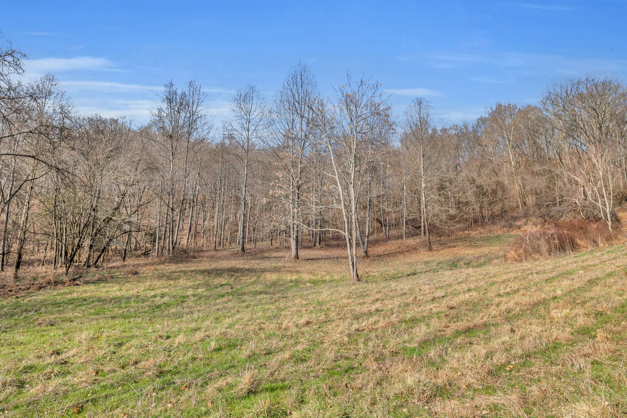 3153 Blazer Rd, W Property Photo 8
