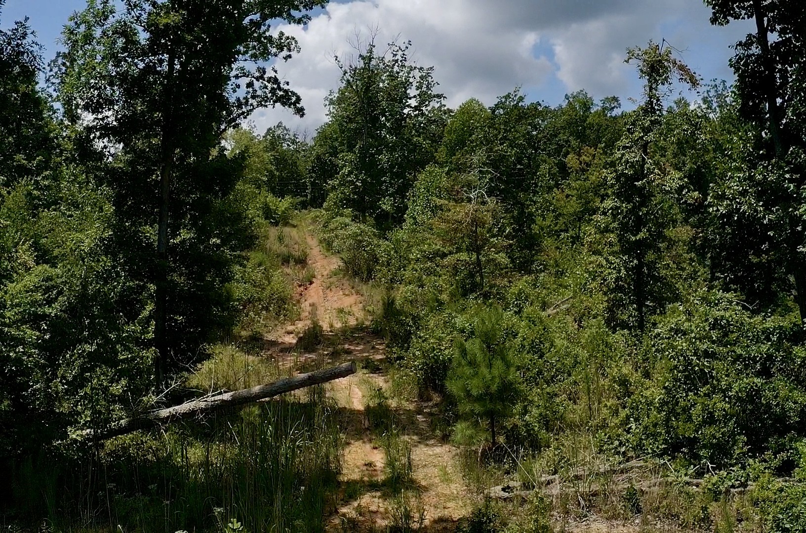 0 Mouse Tail Rd Property Photo 7