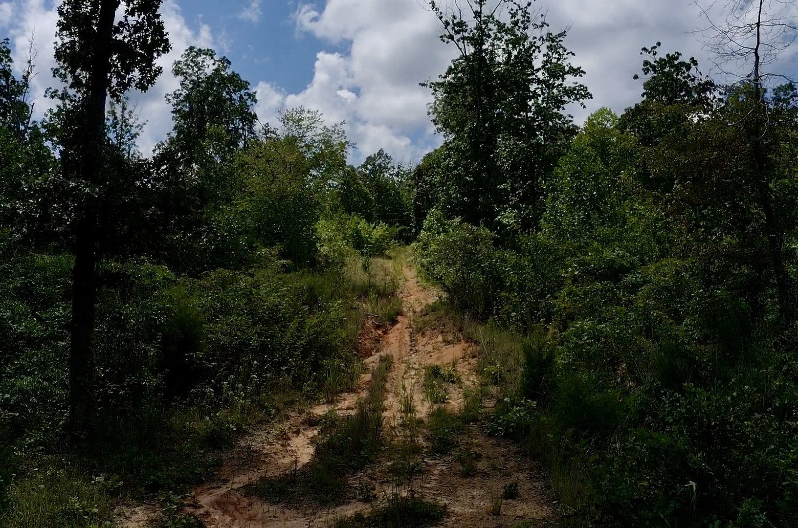 0 Mouse Tail Rd Property Photo 11