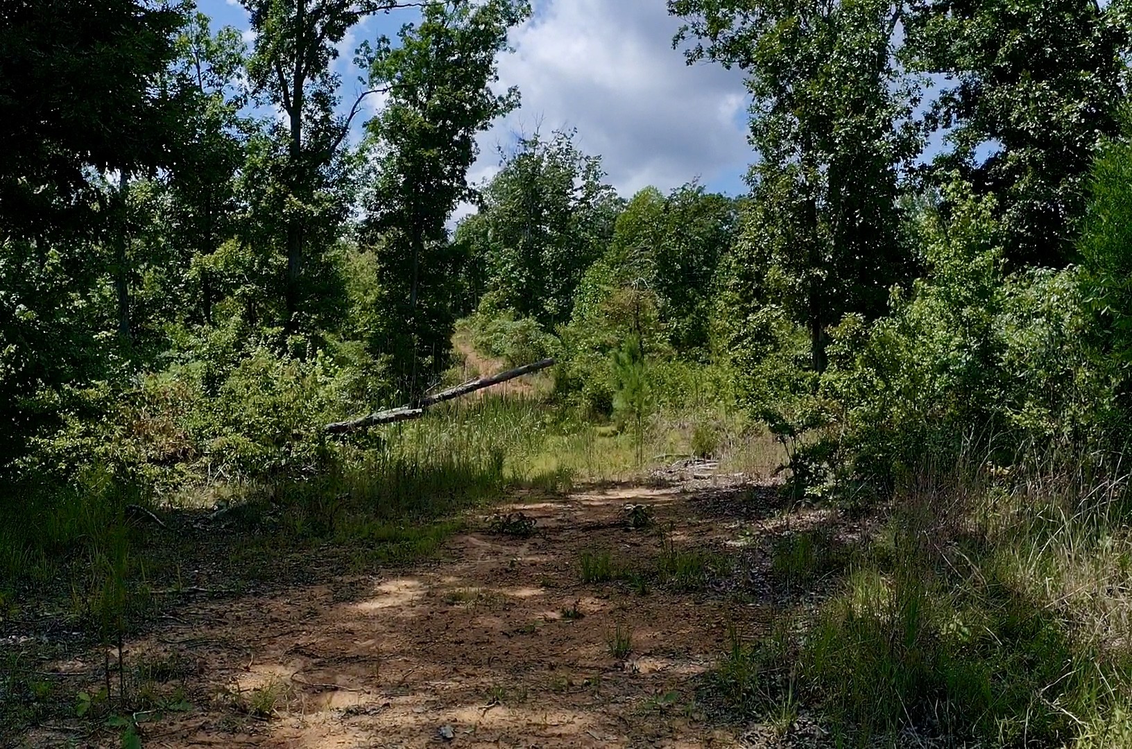 0 Mouse Tail Rd Property Photo 12