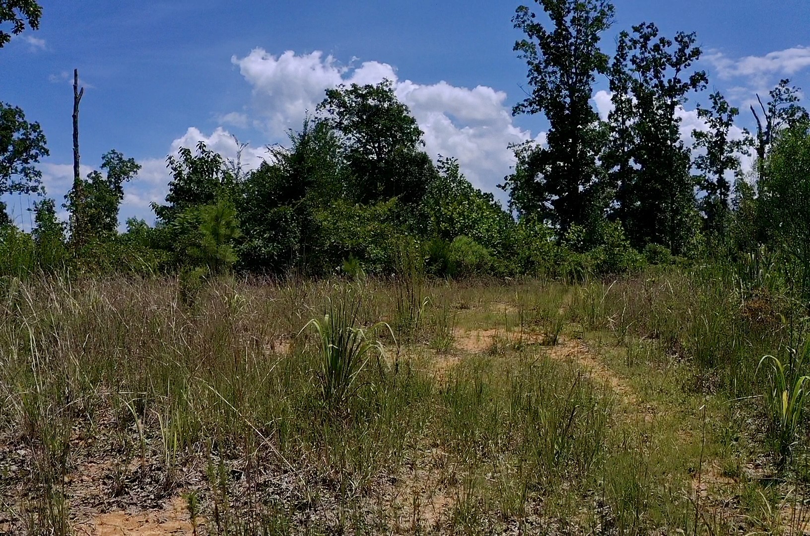 0 Mouse Tail Rd Property Photo 13