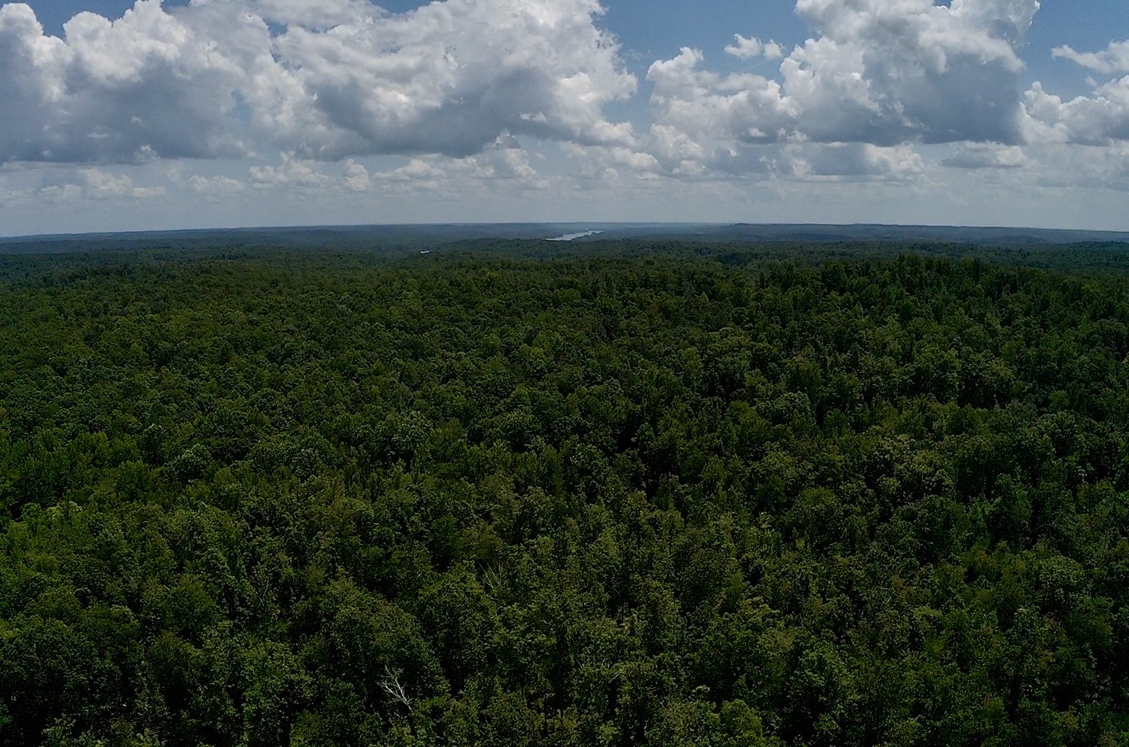 0 Mouse Tail Rd Property Photo 14