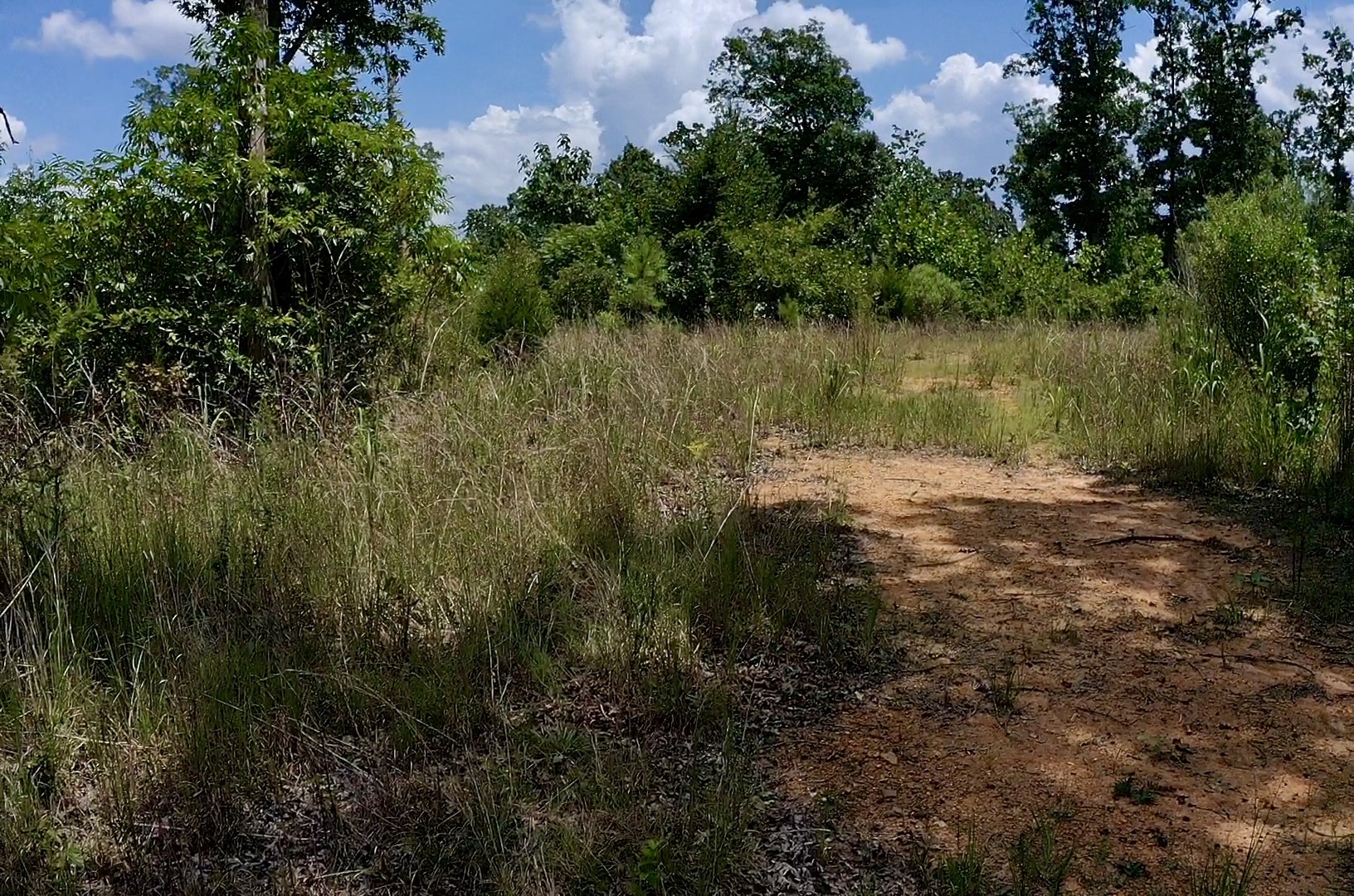 0 Mouse Tail Rd Property Photo 16