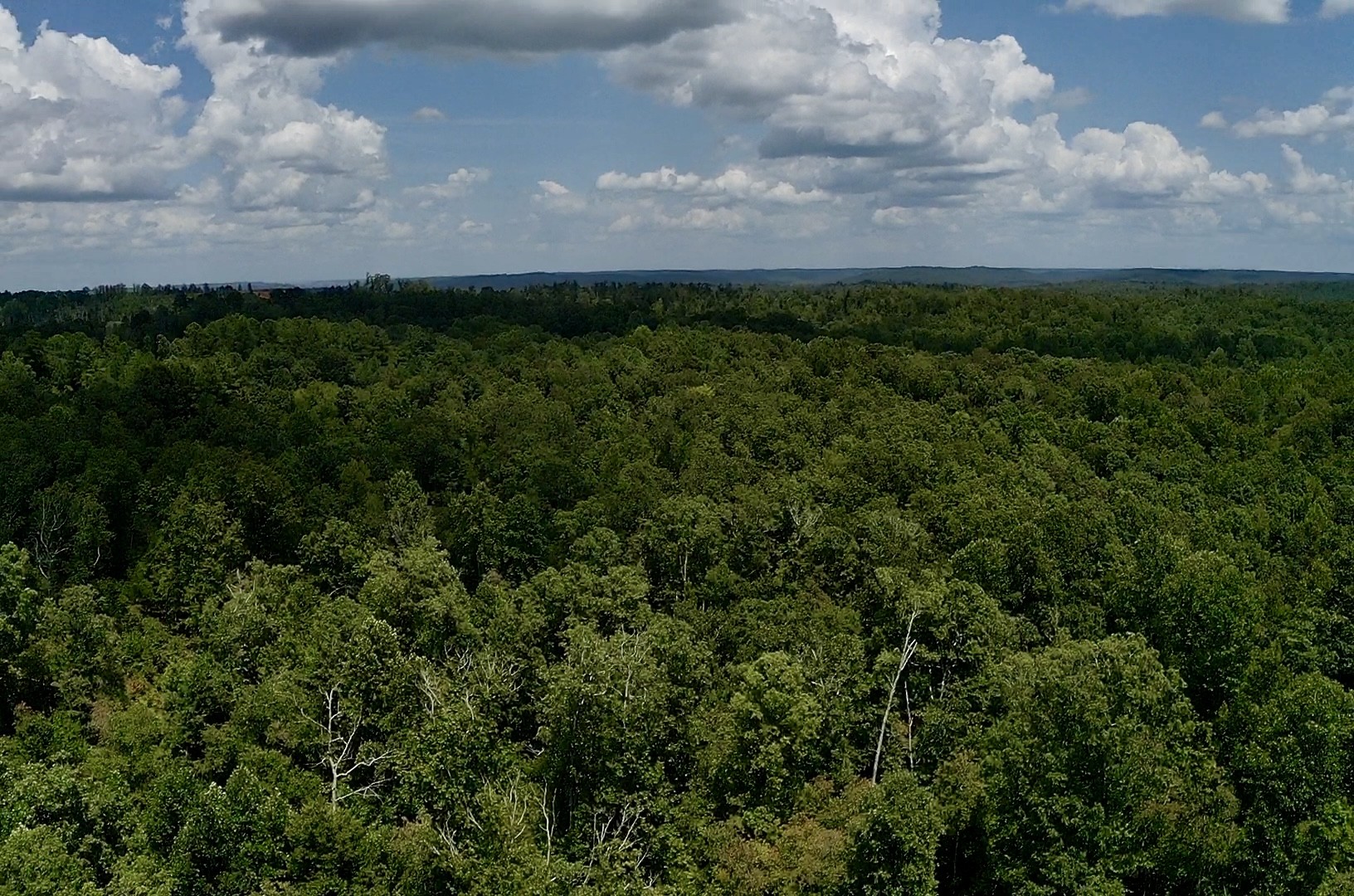 0 Mouse Tail Rd Property Photo 18