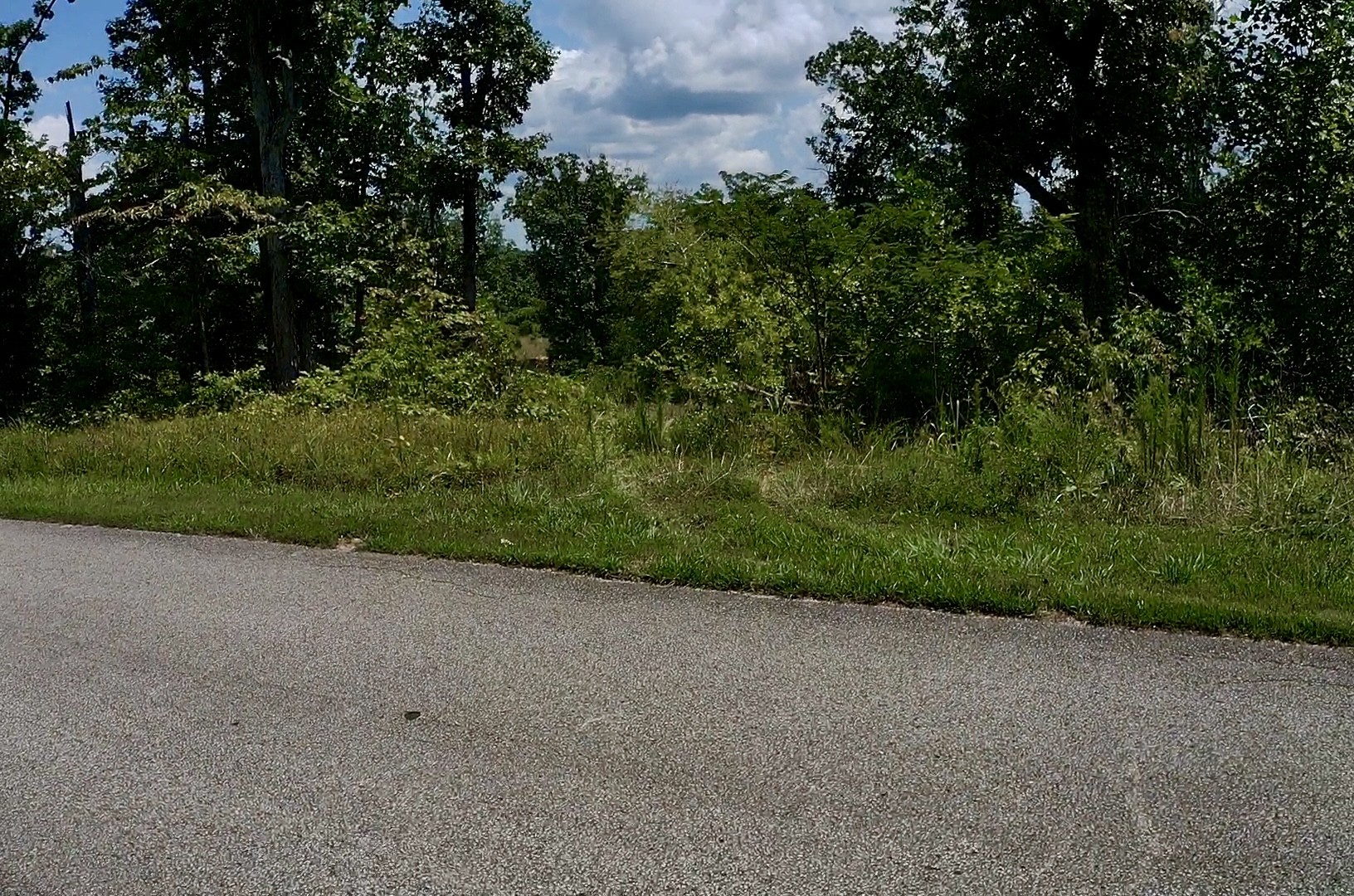 0 Mouse Tail Rd Property Photo 19