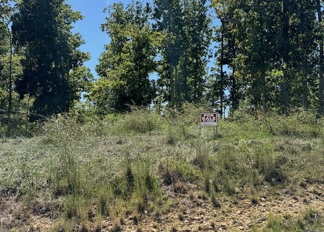 0 S Peninsulas Edge Dr Property Photo 4