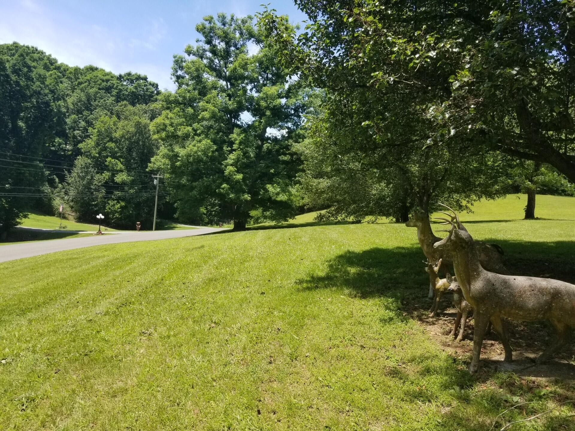 919 John Burch Road Property Photo 7