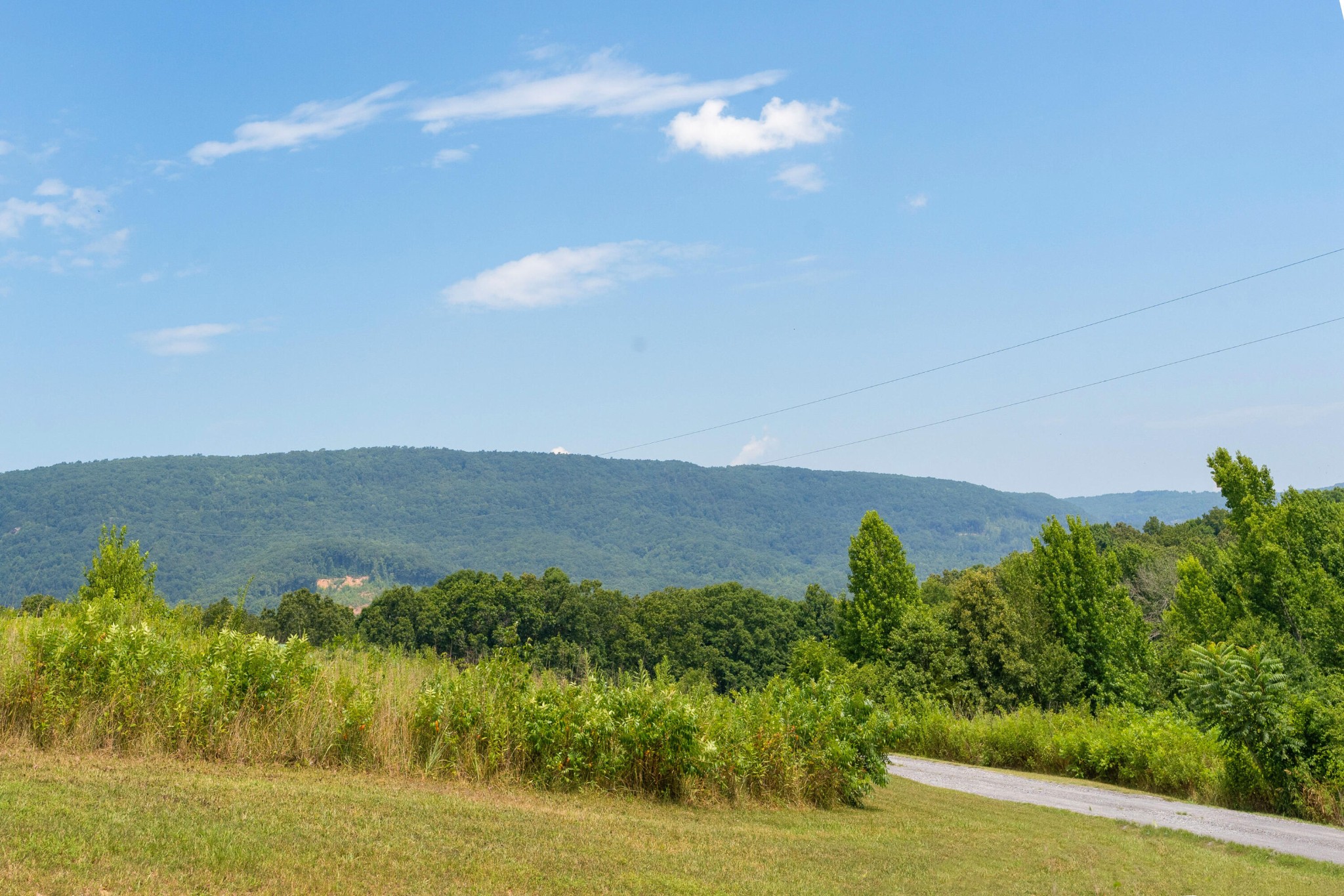 919 John Burch Road Property Photo 34
