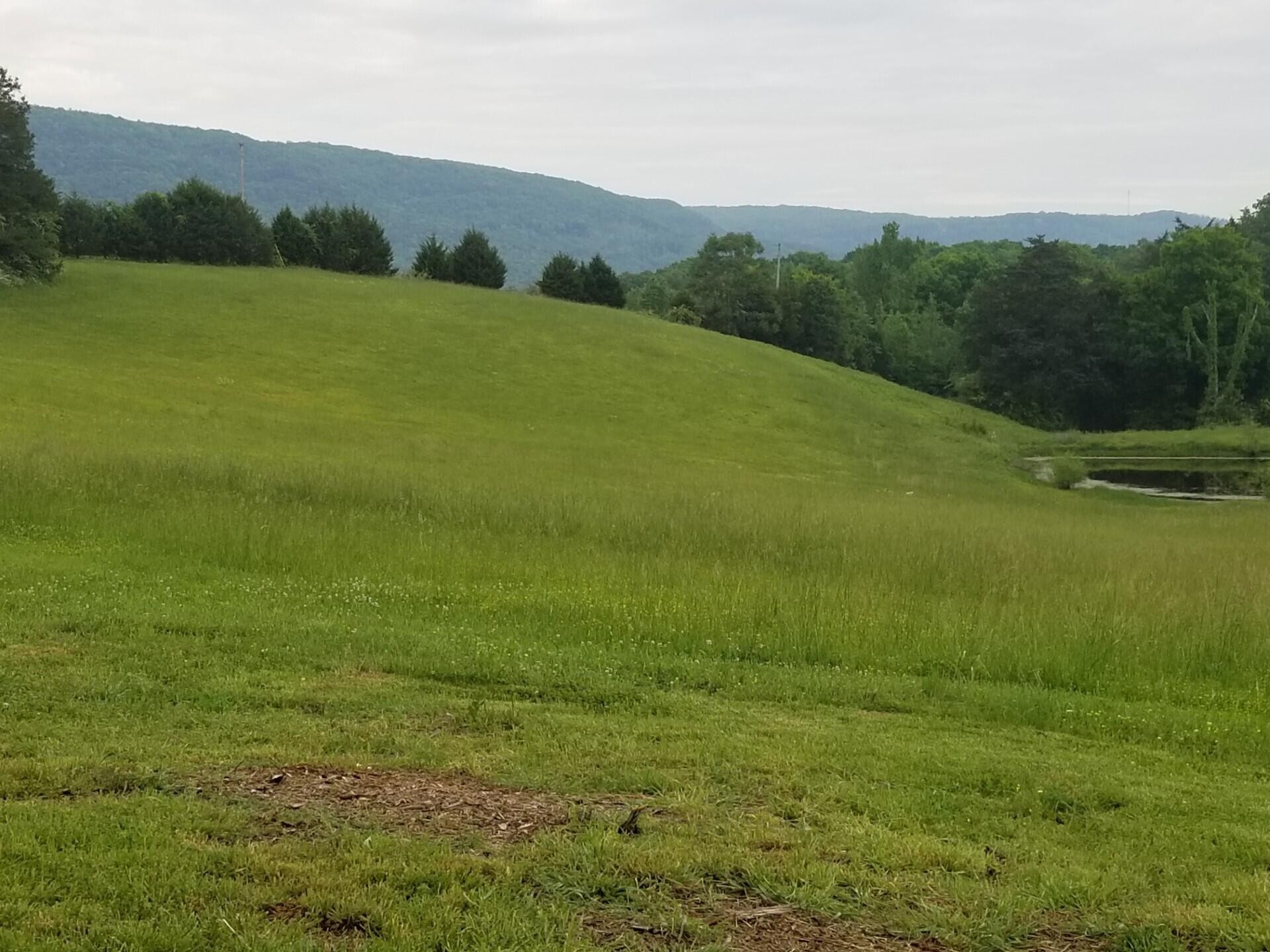 0 John Burch Road Property Photo 19