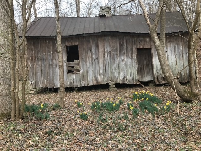 5405 Lickton Pike Property Photo 46