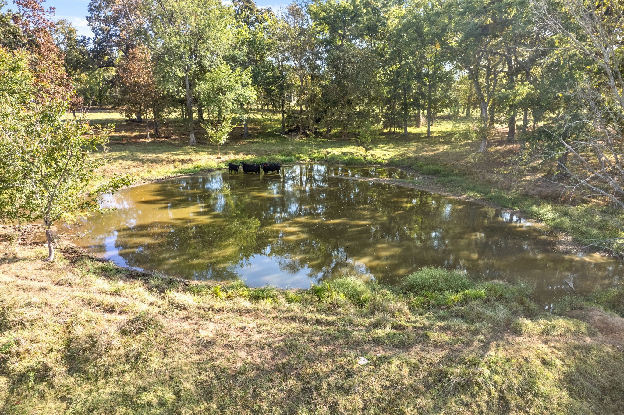 11750 S Madisonville Rd Property Photo 21