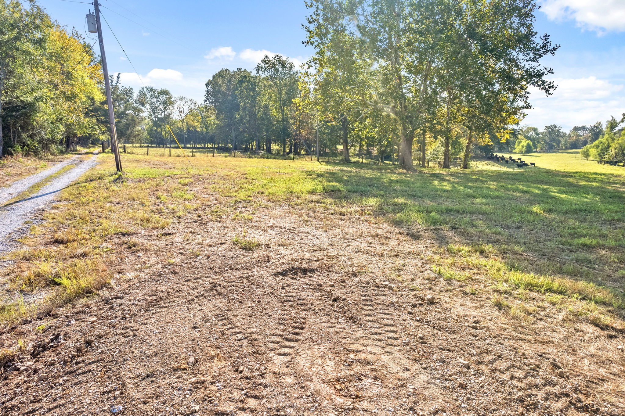 11750 S Madisonville Rd Property Photo 22