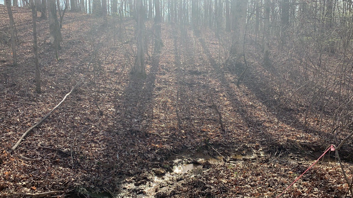 1385 Ridgewood Drive Property Photo 4