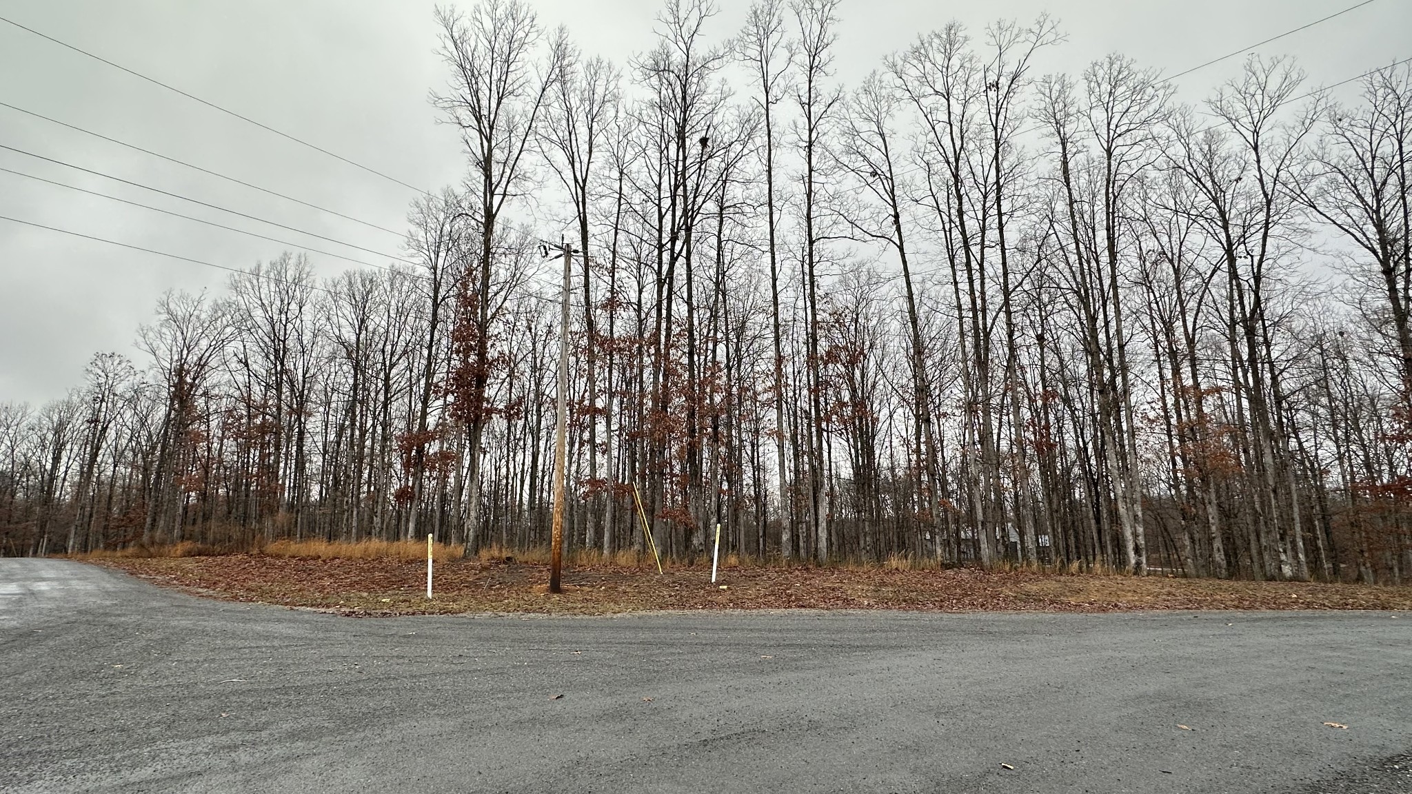 1385 Ridgewood Drive Property Photo 16