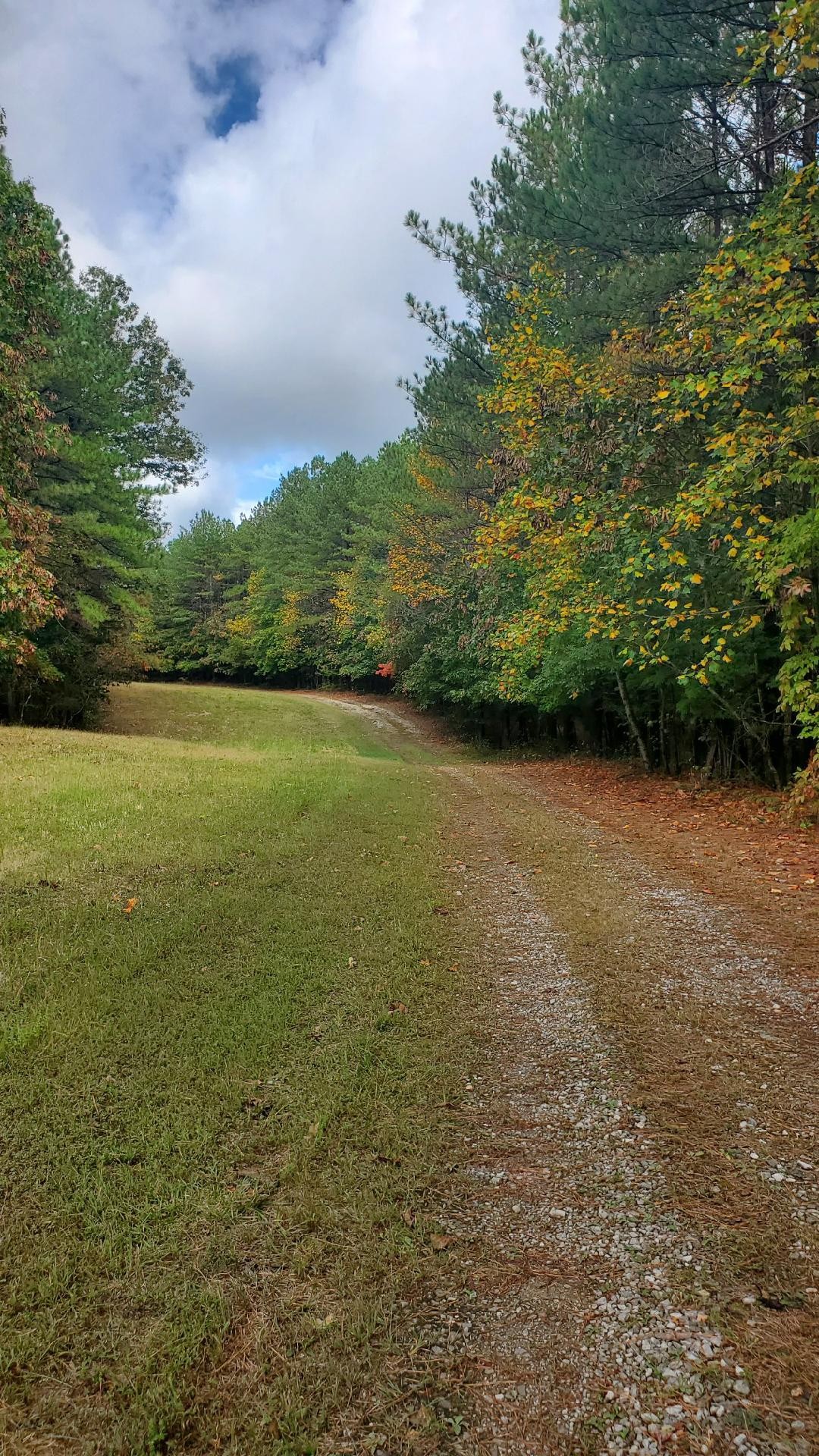 0 Browns Trace Rd Property Photo 12