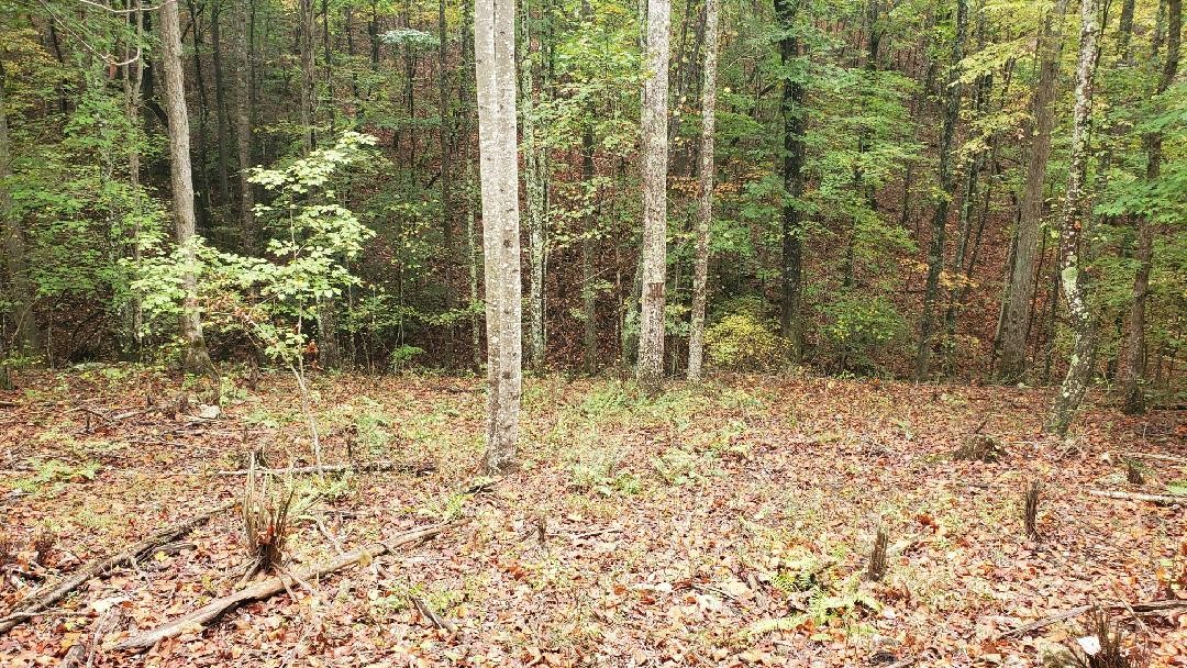 0 Browns Trace Rd Property Photo 14