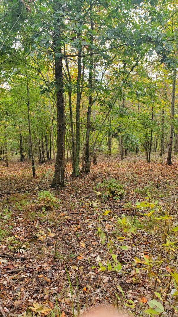 0 Browns Trace Rd Property Photo 15