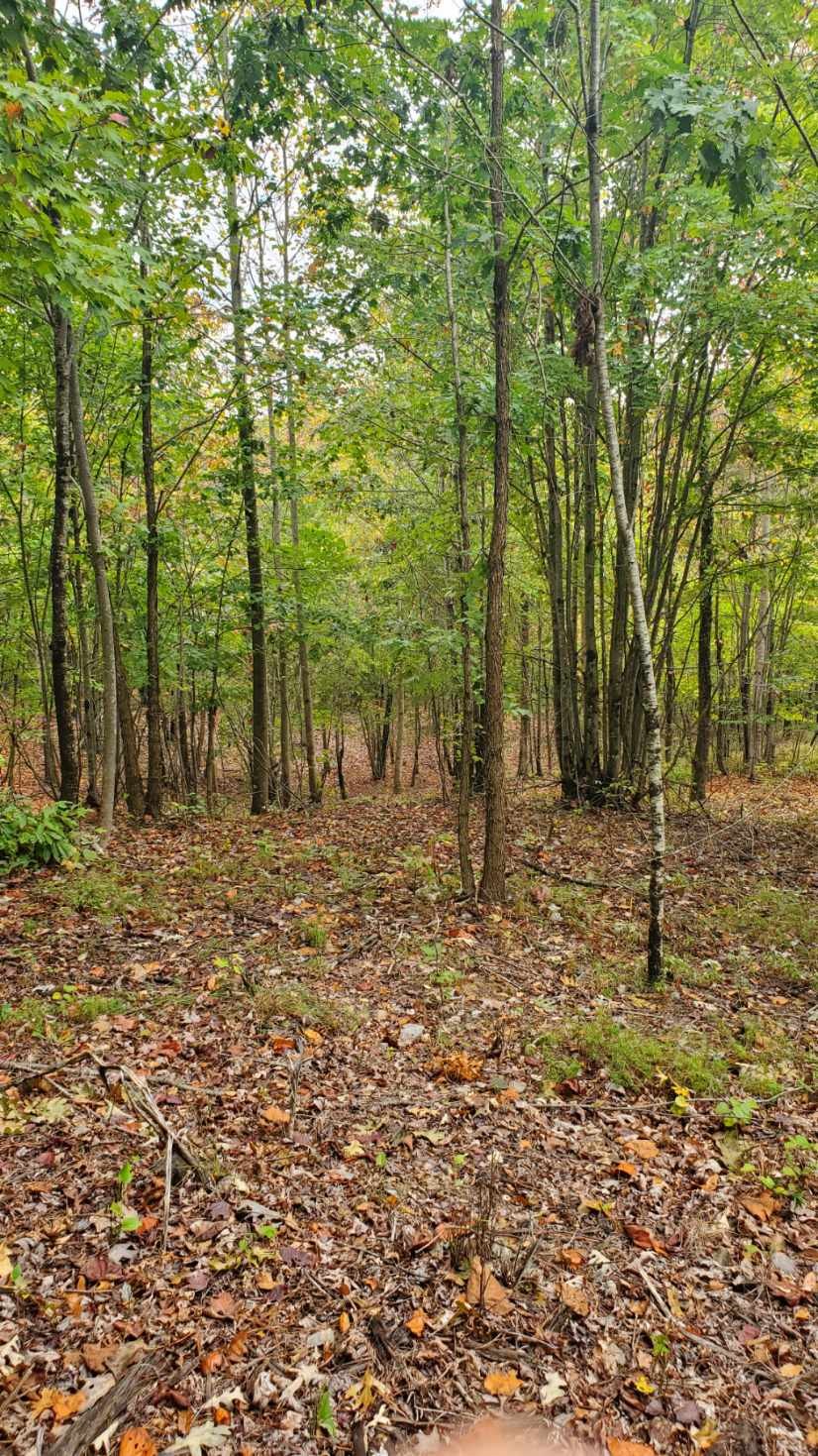 0 Browns Trace Rd Property Photo 16