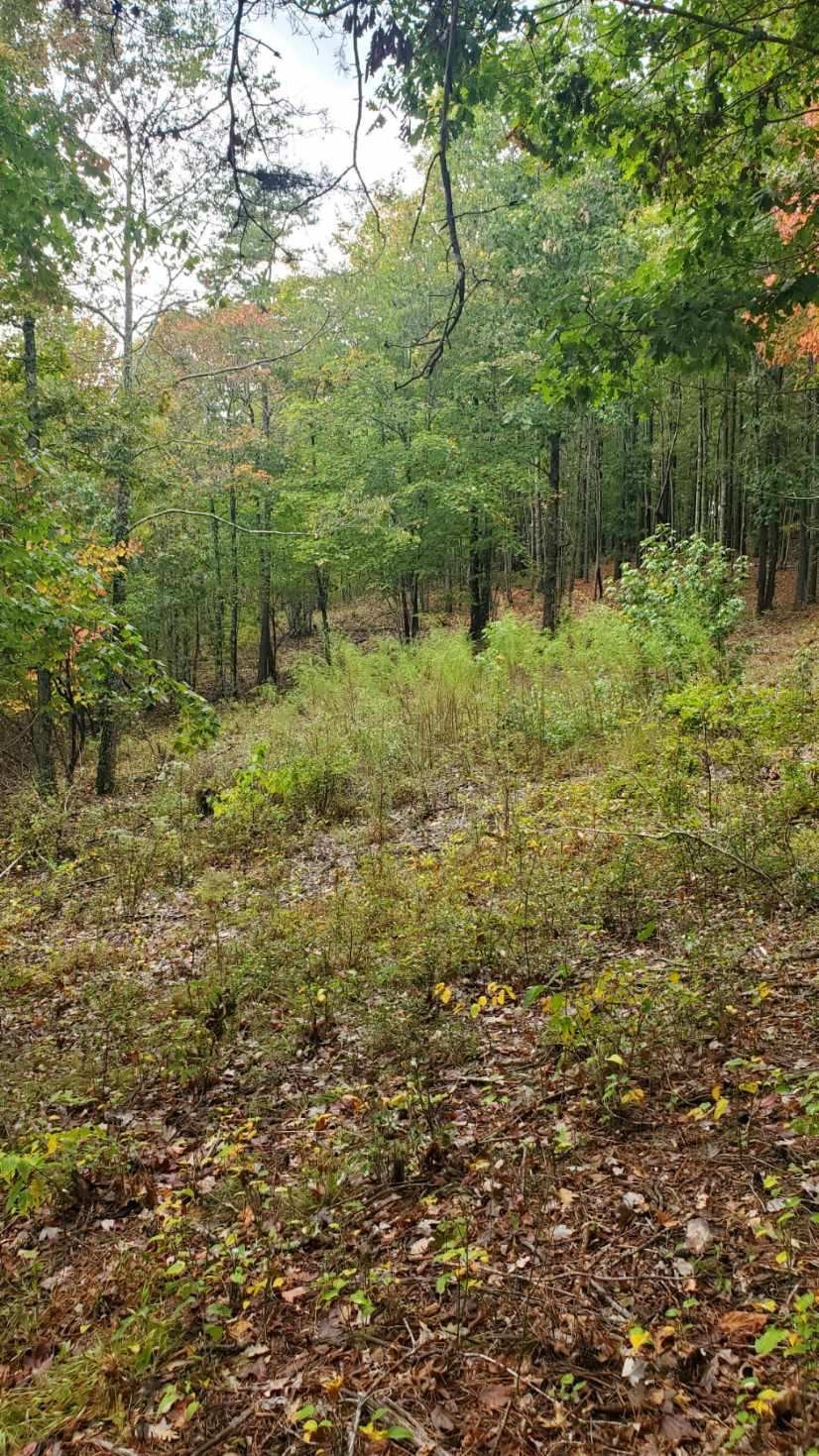 0 Browns Trace Rd Property Photo 20