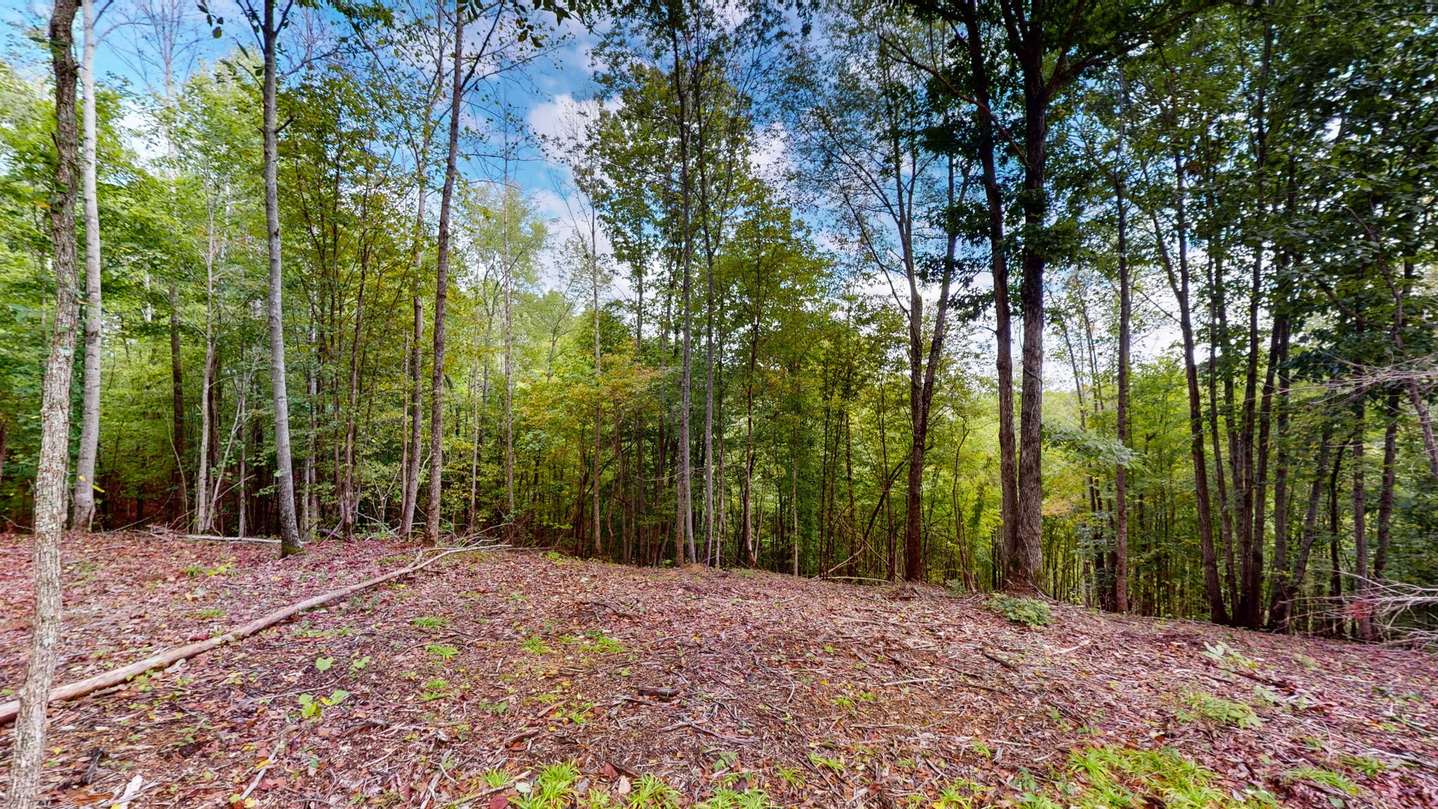 352 Briarwood Dr Property Photo 5