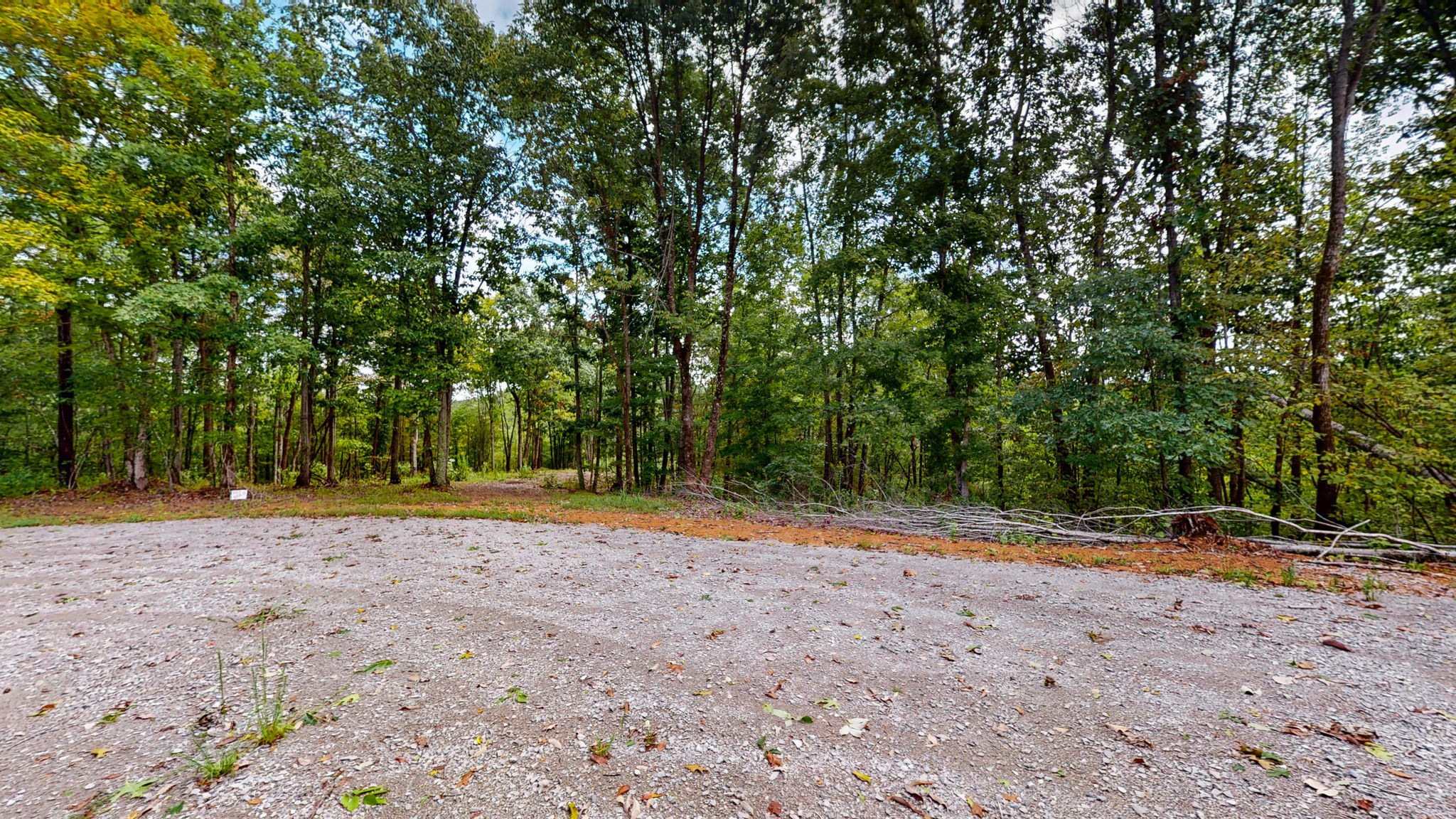 352 Briarwood Dr Property Photo 9