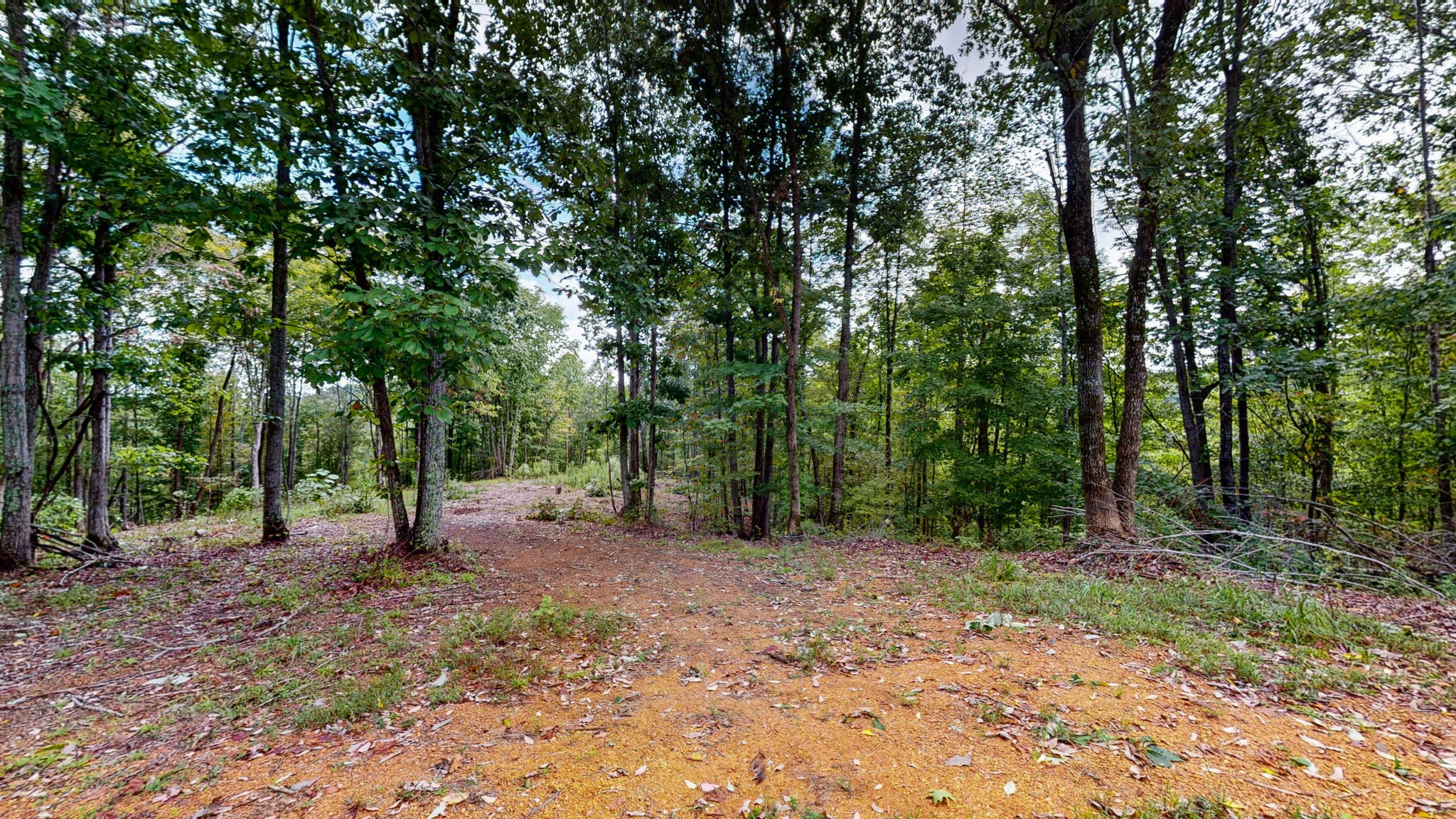 352 Briarwood Dr Property Photo 12