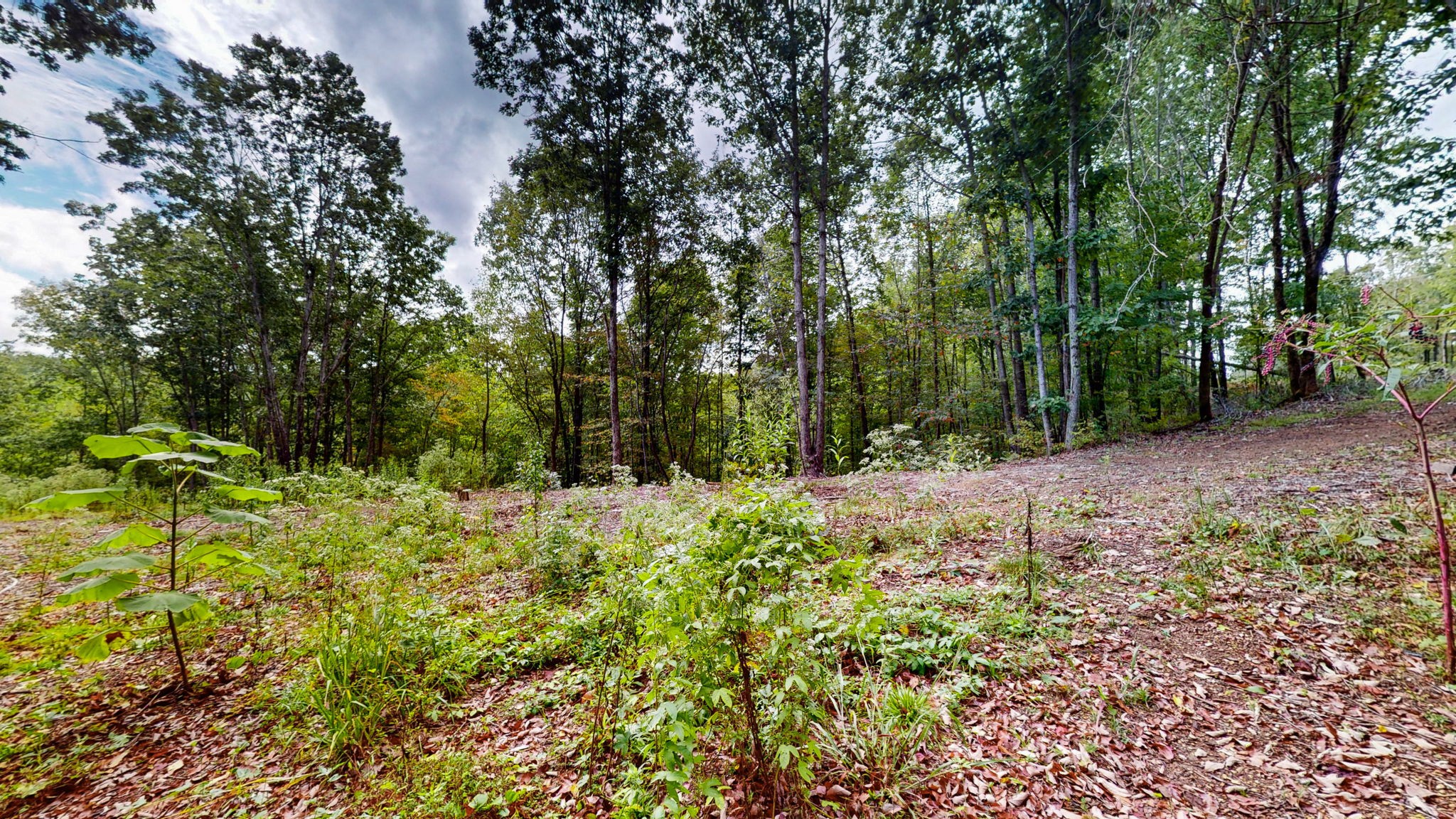 352 Briarwood Dr Property Photo 13
