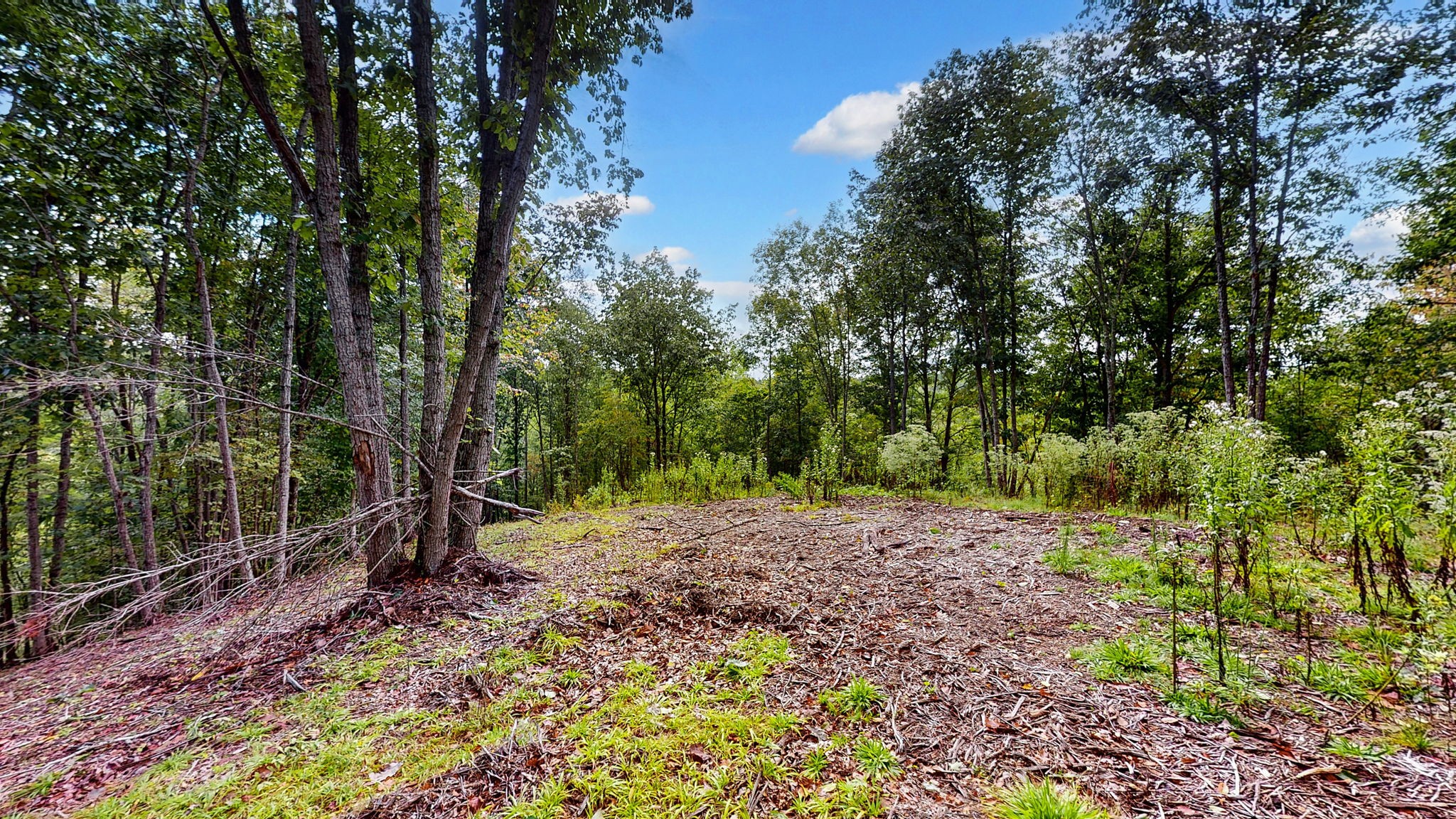 352 Briarwood Dr Property Photo 15