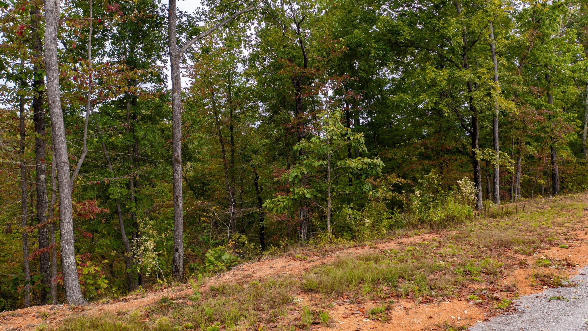 352 Briarwood Dr Property Photo 20