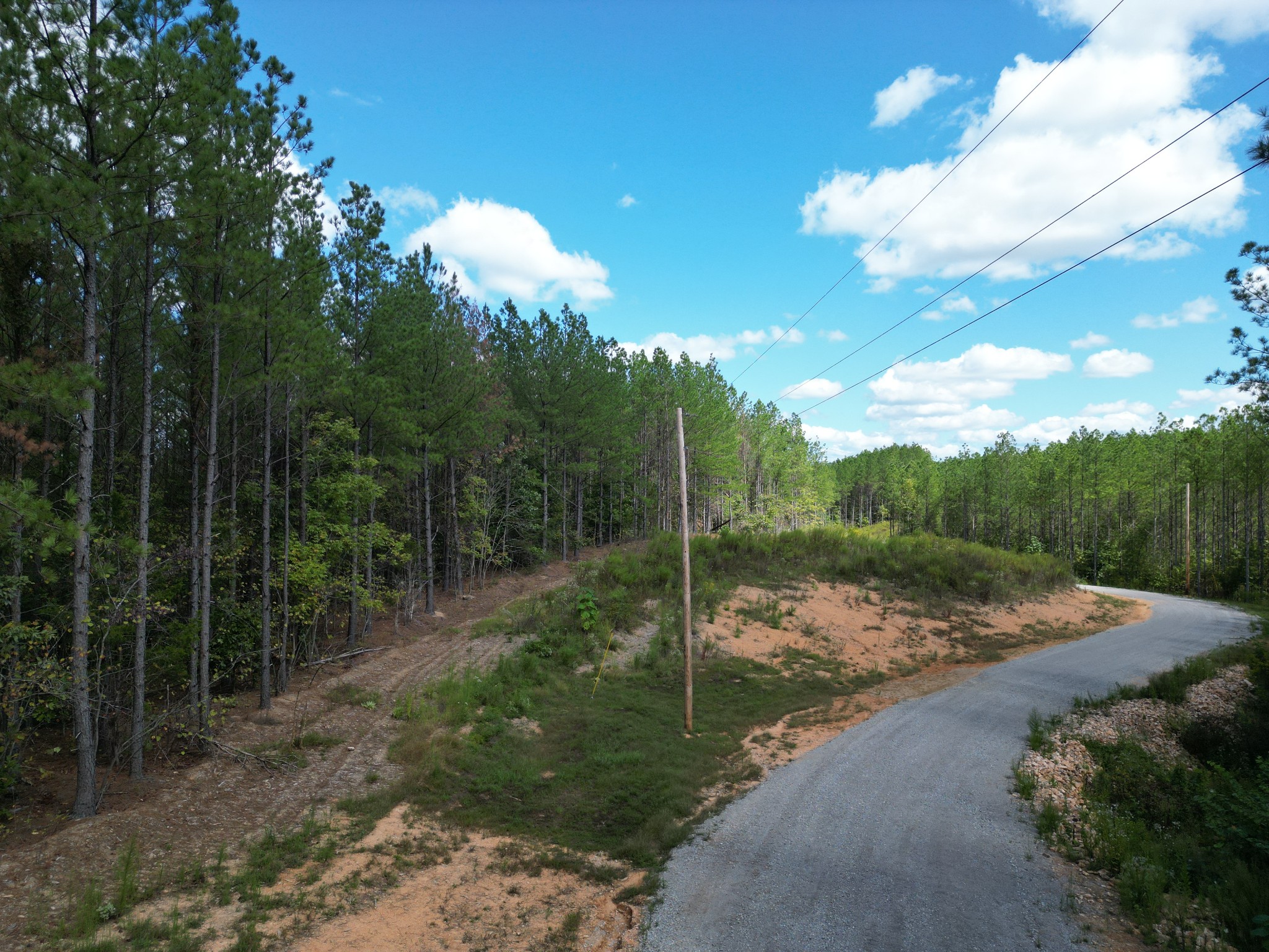 1406 Hillbrook Dr Property Photo 13