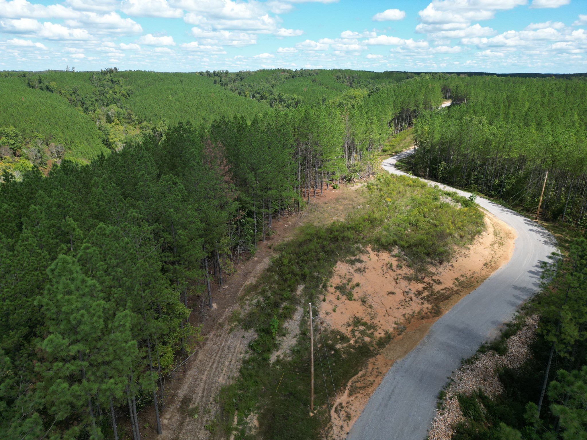 1406 Hillbrook Dr Property Photo 14