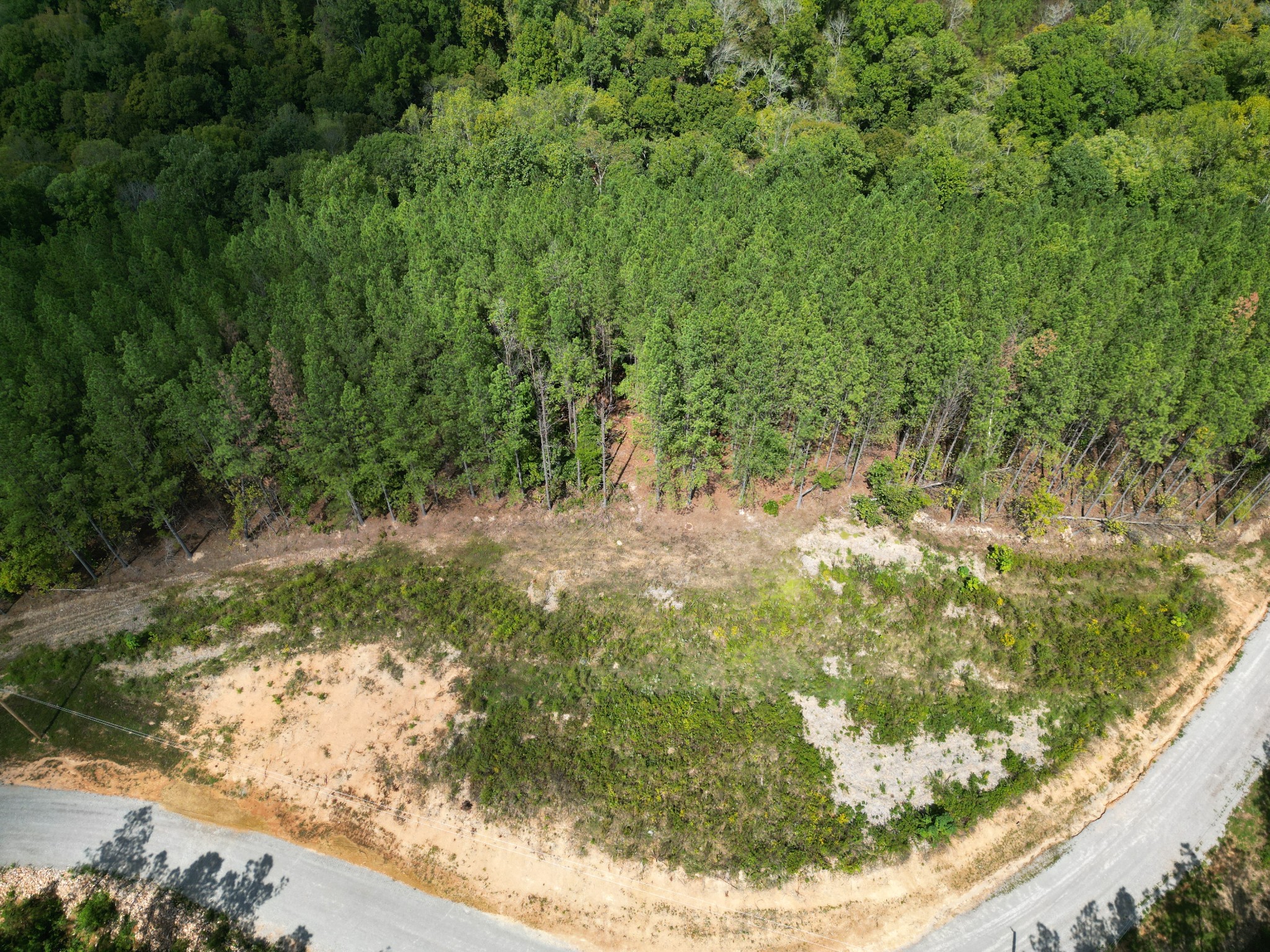 1406 Hillbrook Dr Property Photo 15