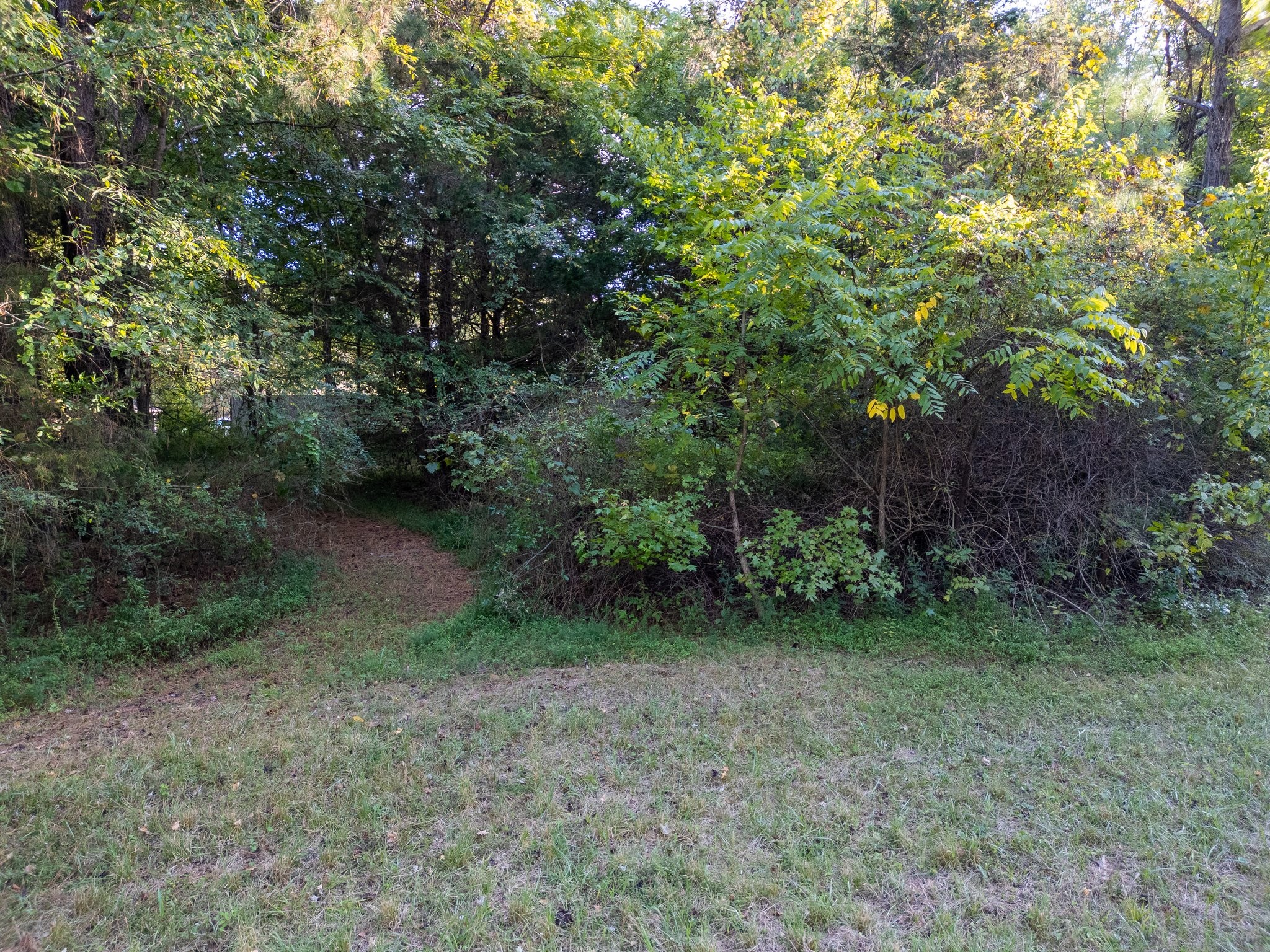 0 Windcrest Dr Property Photo 10