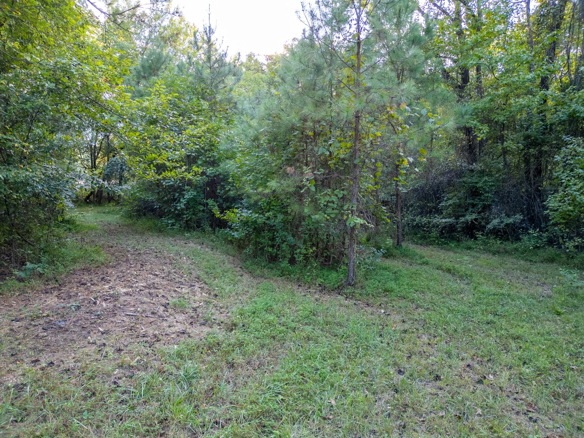 0 Windcrest Dr Property Photo 13