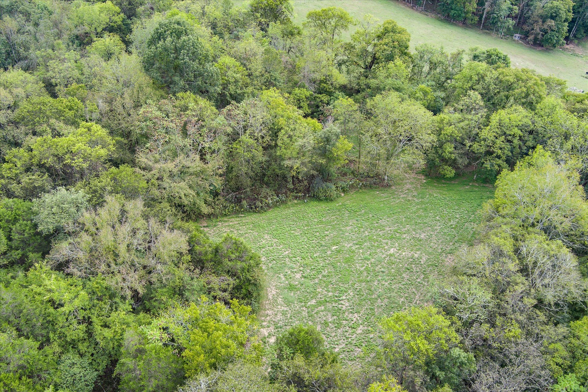 0 Gladdice Highway Property Photo 11