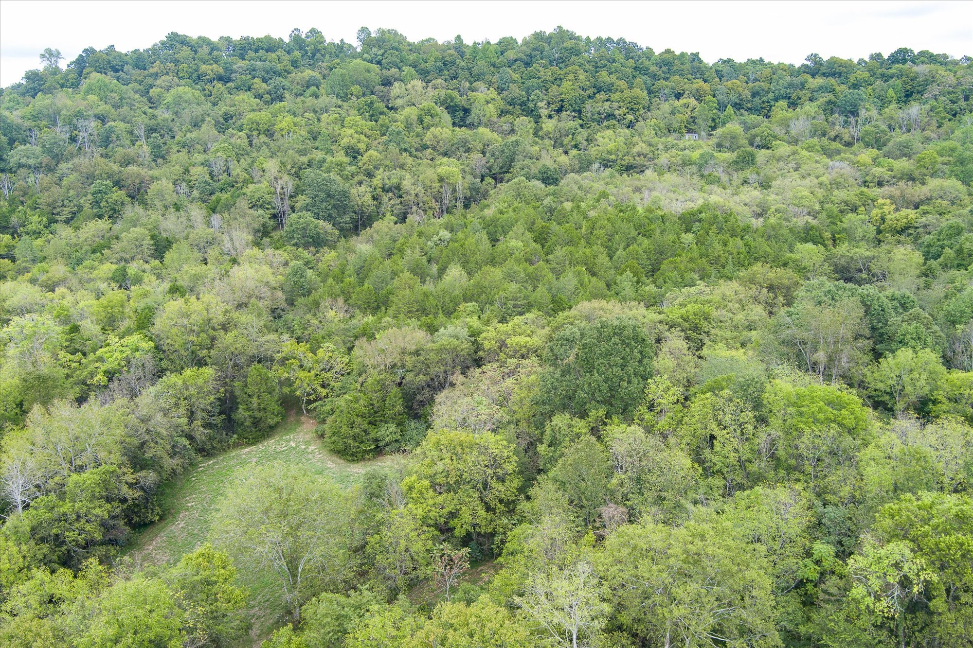 0 Gladdice Highway Property Photo 12