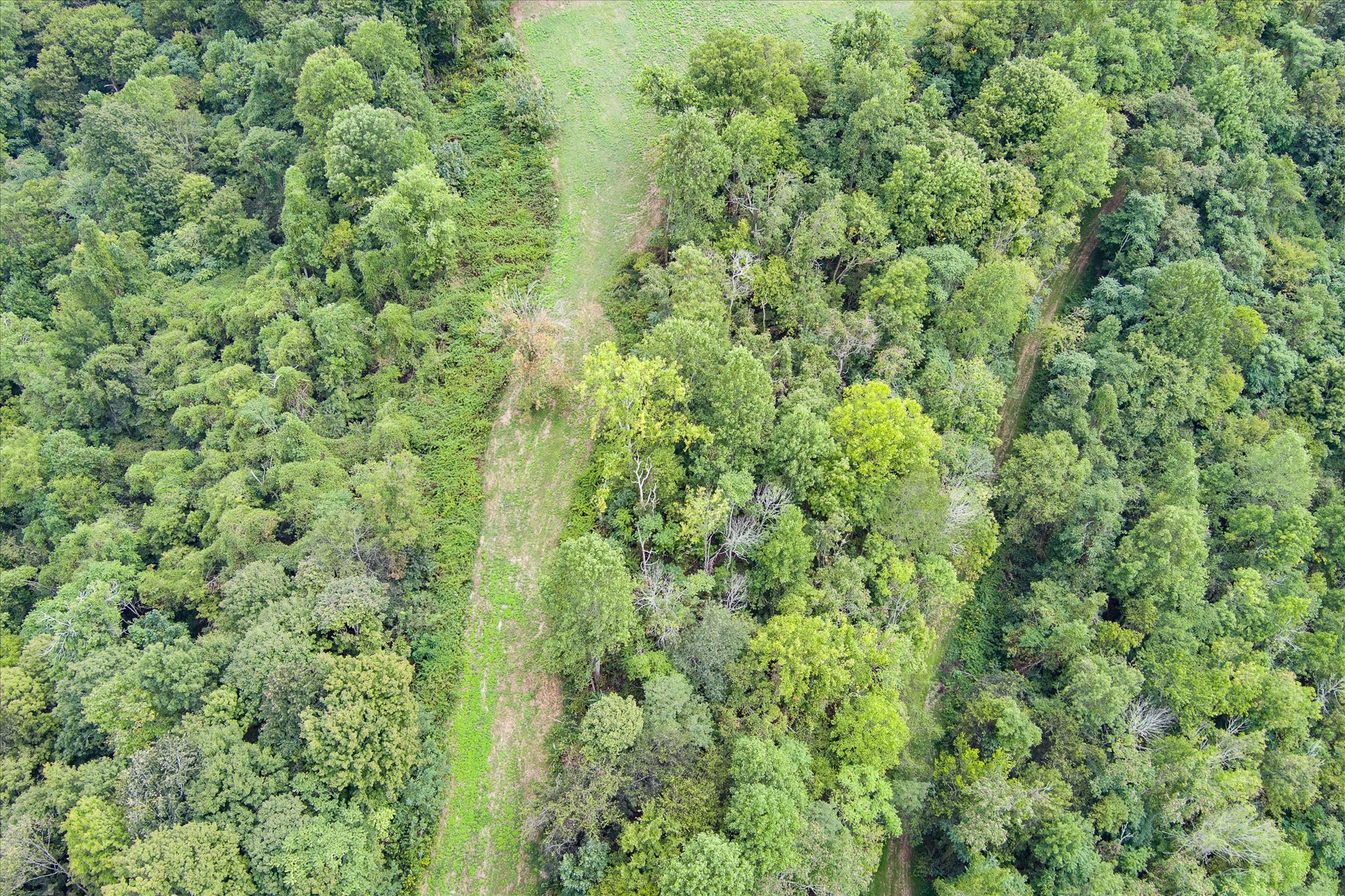 0 Gladdice Highway Property Photo 19