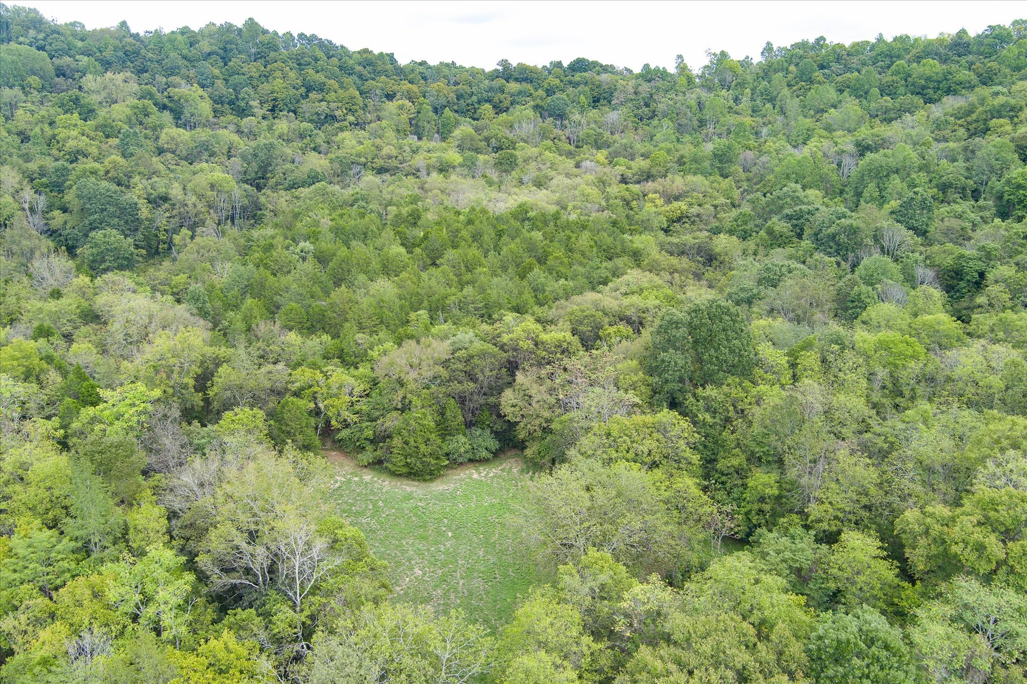 0 Gladdice Highway Property Photo 24