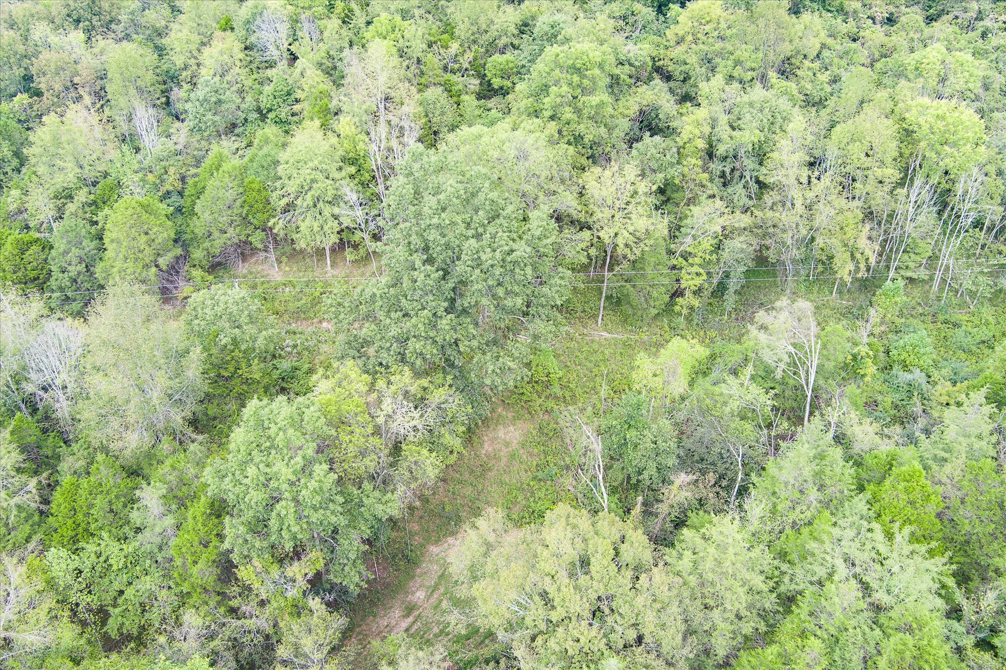 0 Gladdice Highway Property Photo 25
