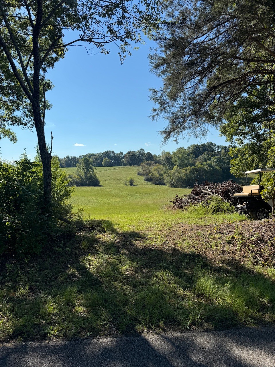 1525a E Piney Rd Property Photo 2