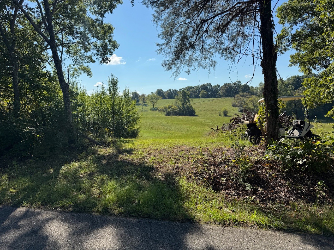 1525a E Piney Rd Property Photo 3