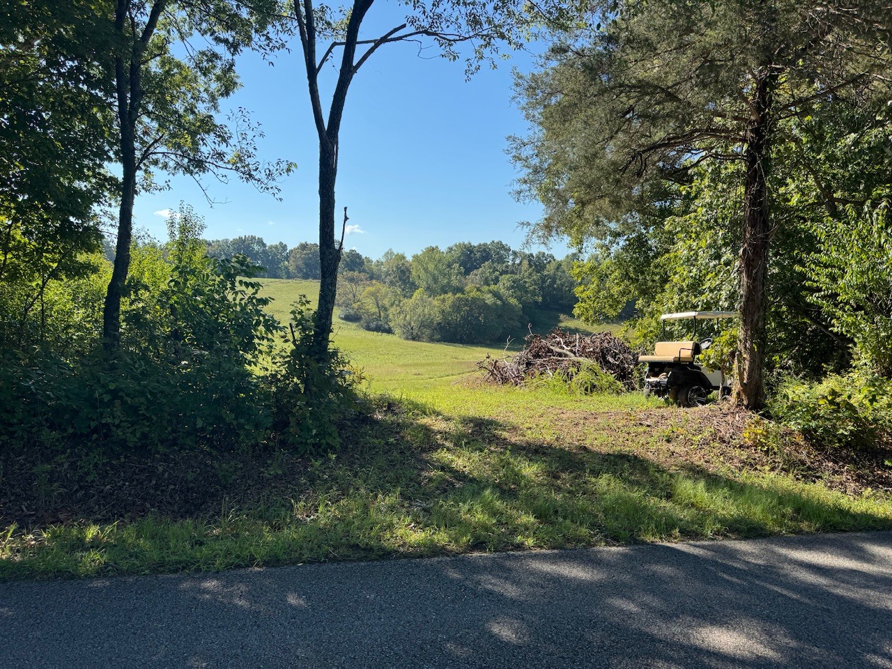 1525a E Piney Rd Property Photo 6