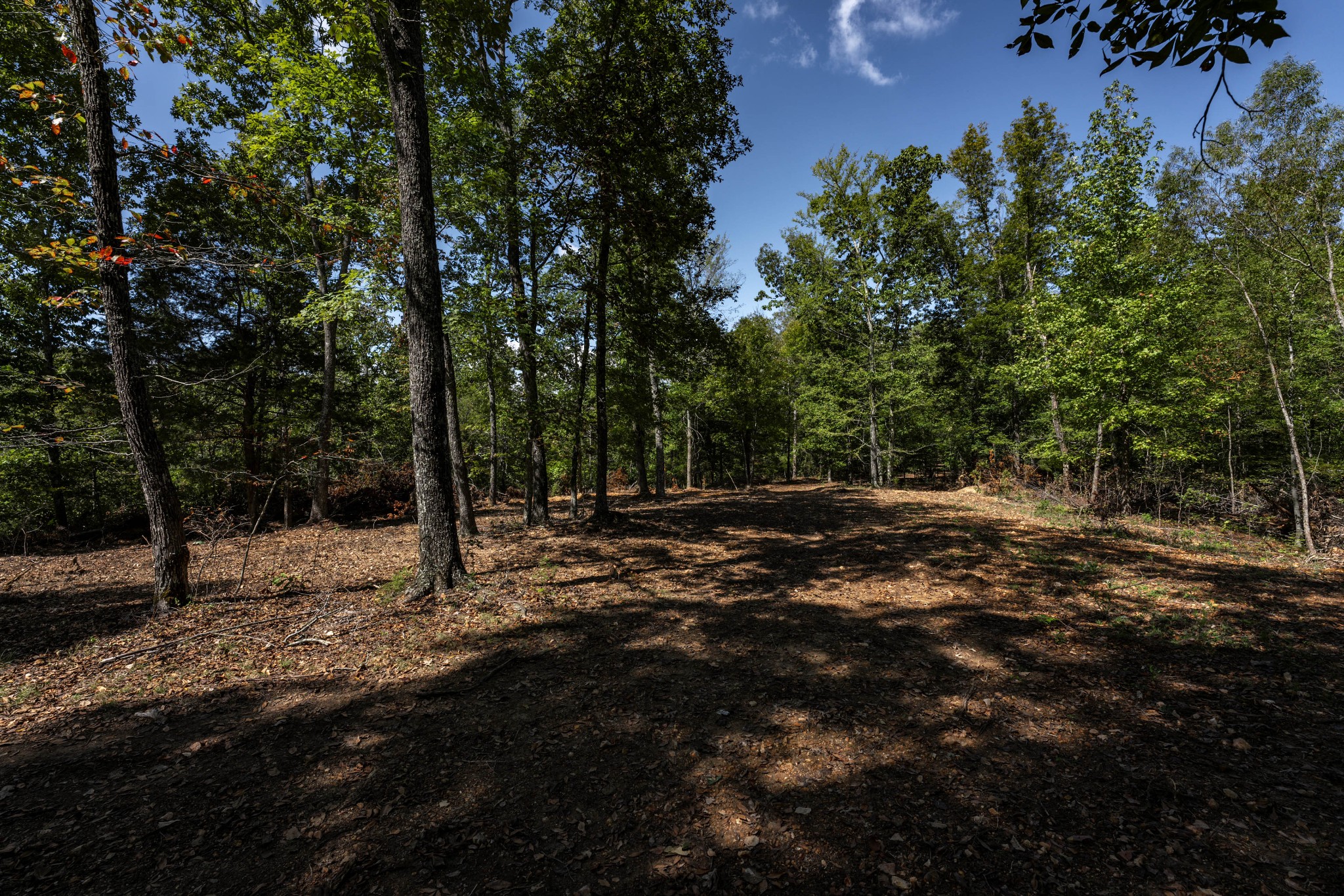 0 Sunset Rd Property Photo 18