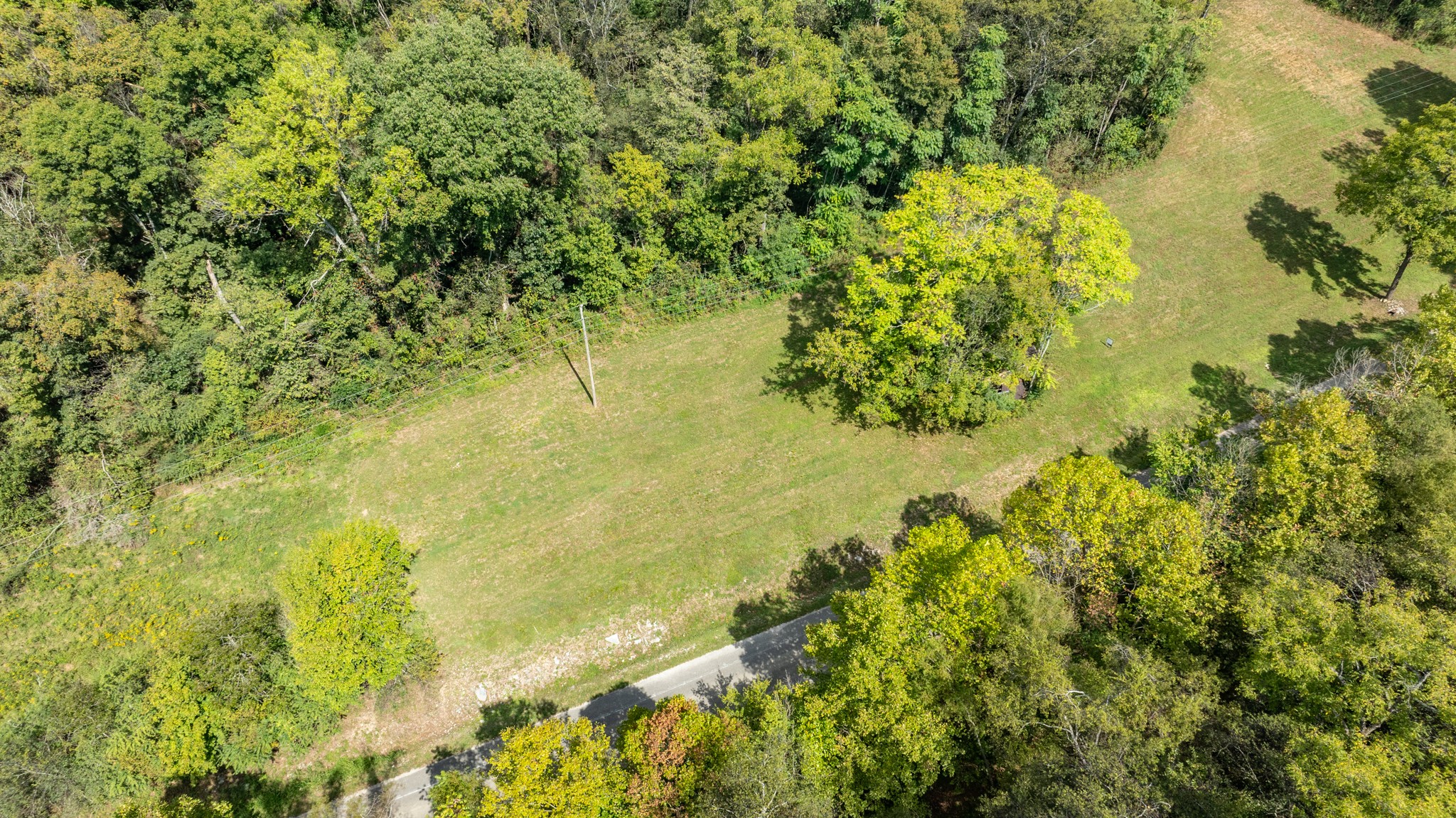 0 Roy Dodson Rd Property Photo 11
