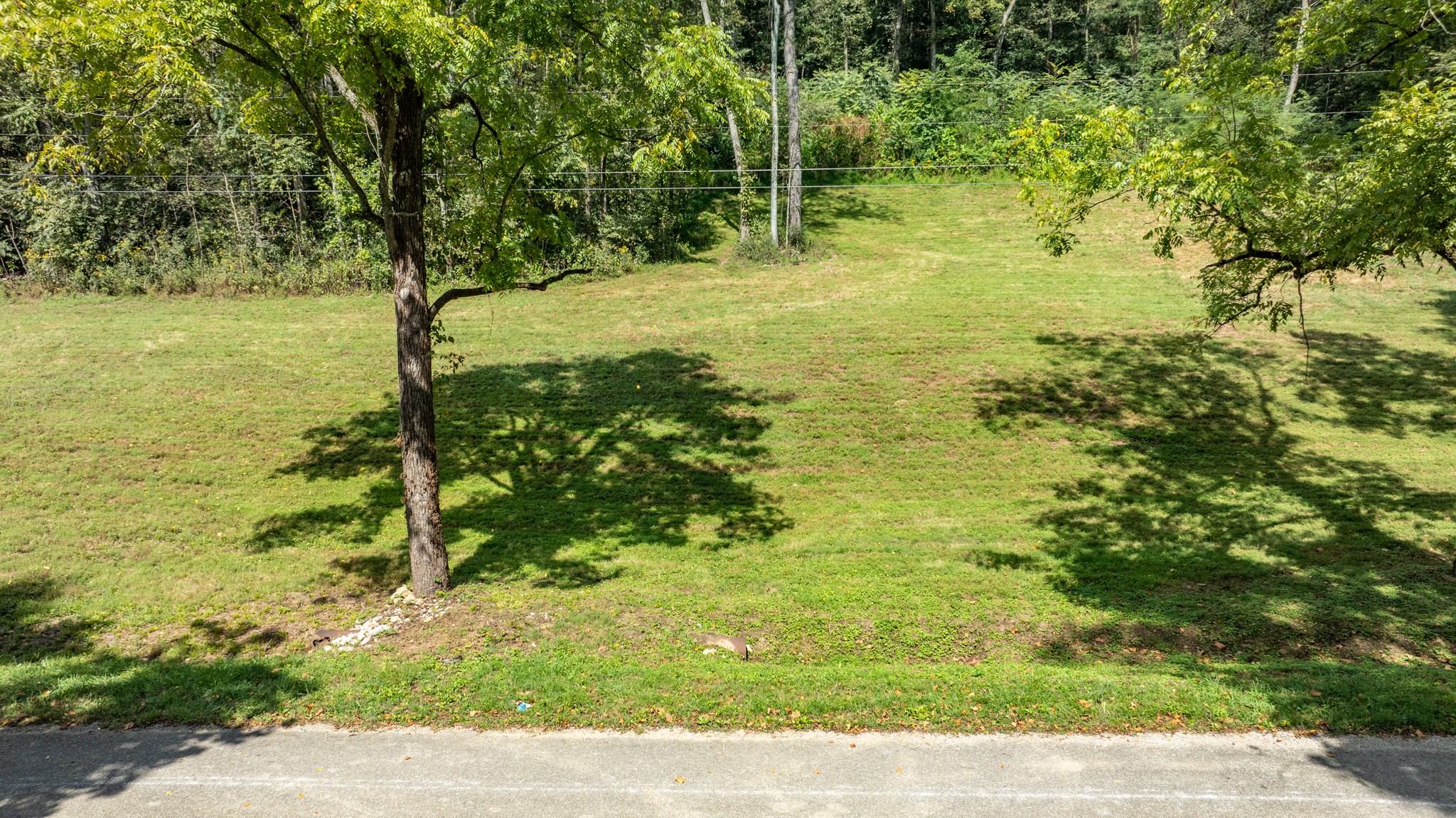 0 Roy Dodson Rd Property Photo 6