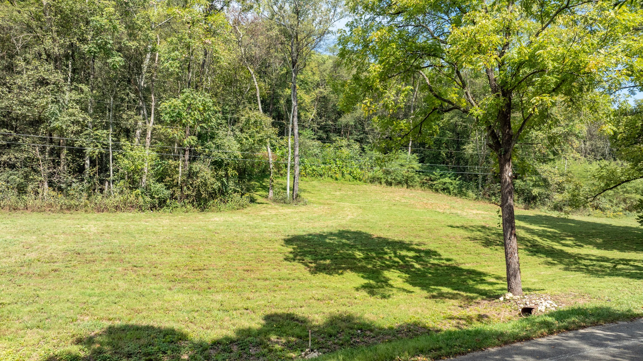 0 Roy Dodson Rd Property Photo 8